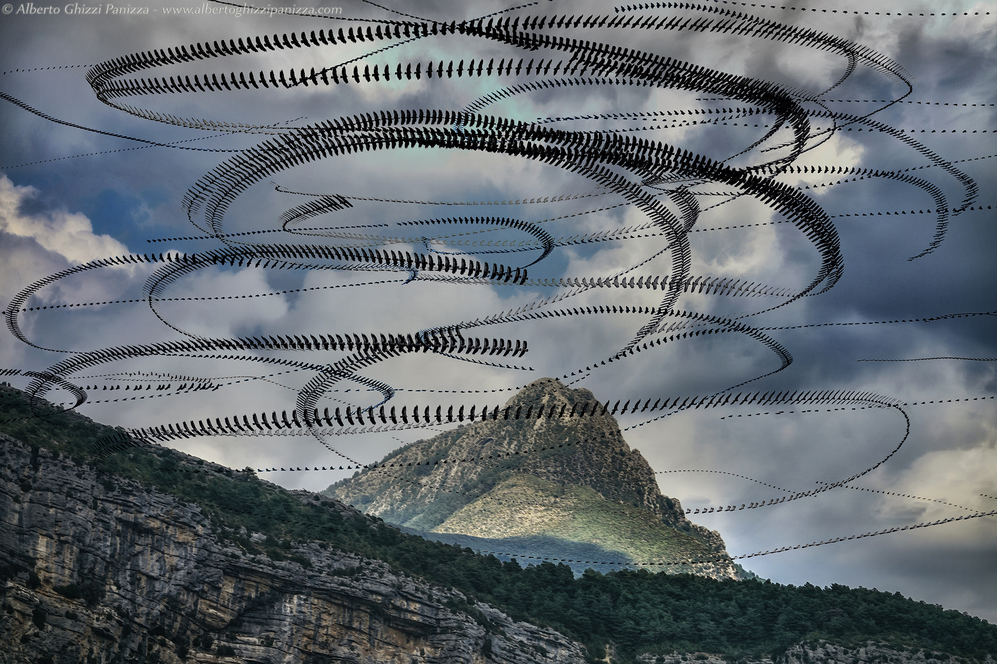 Scie dei grifoni sul Vedon