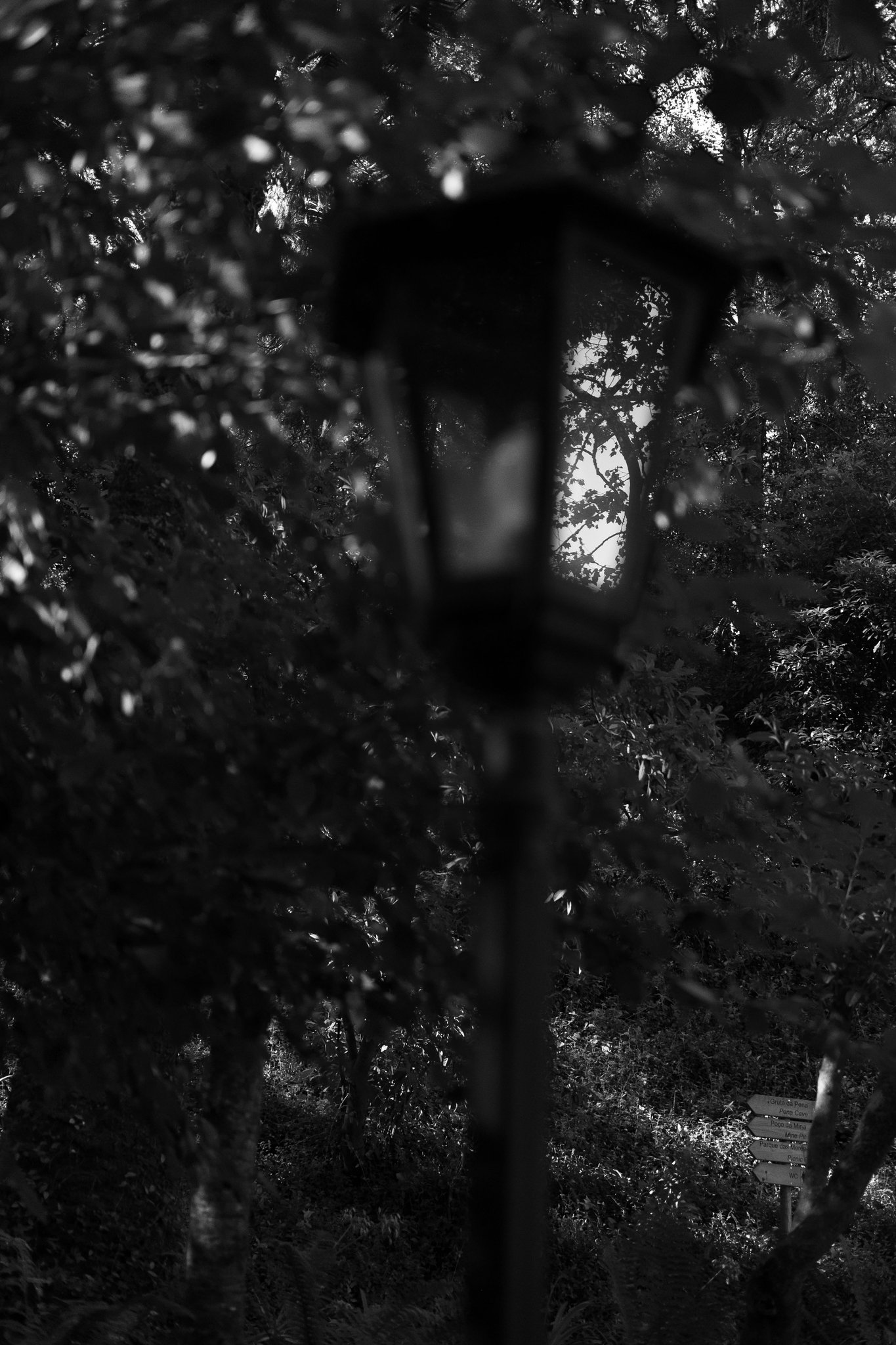 Riflessi