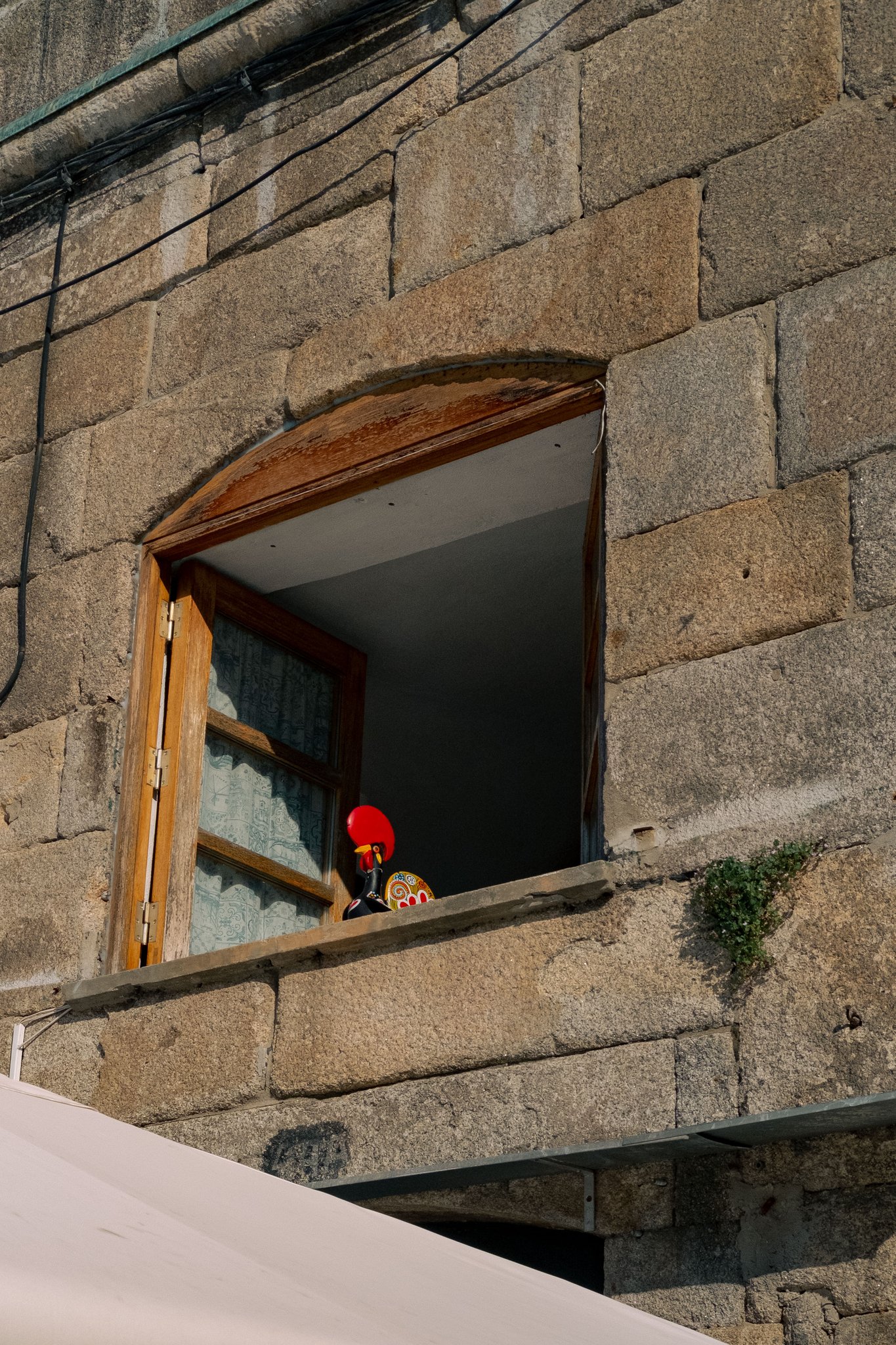 Gallo di Barcelos