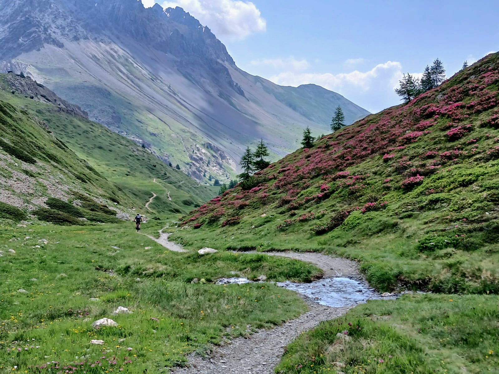 Val trela