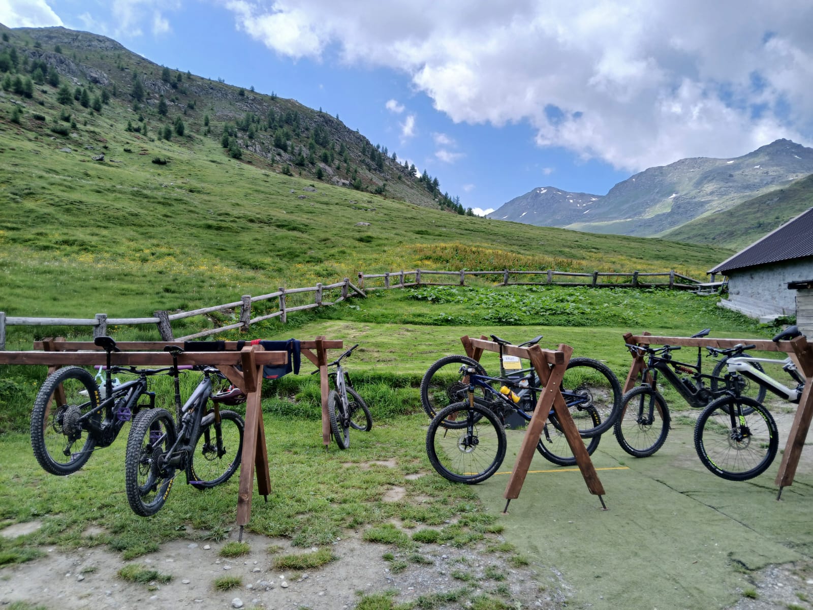 Sosta passo trela