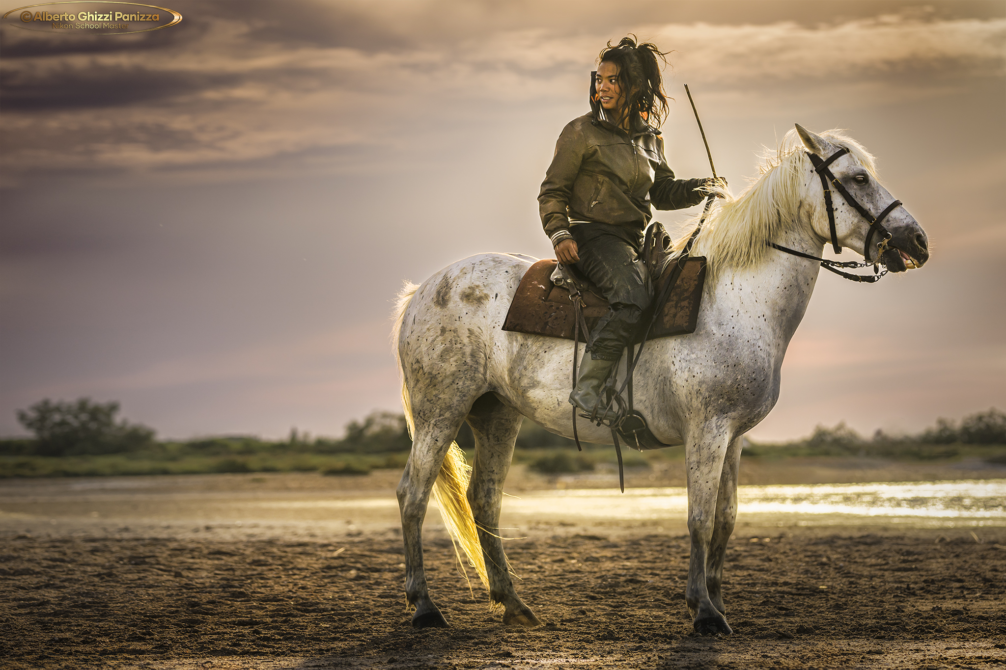 Emozioni in Camargue 2024 #3