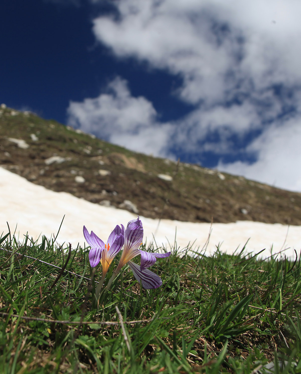 circuit de l'authion