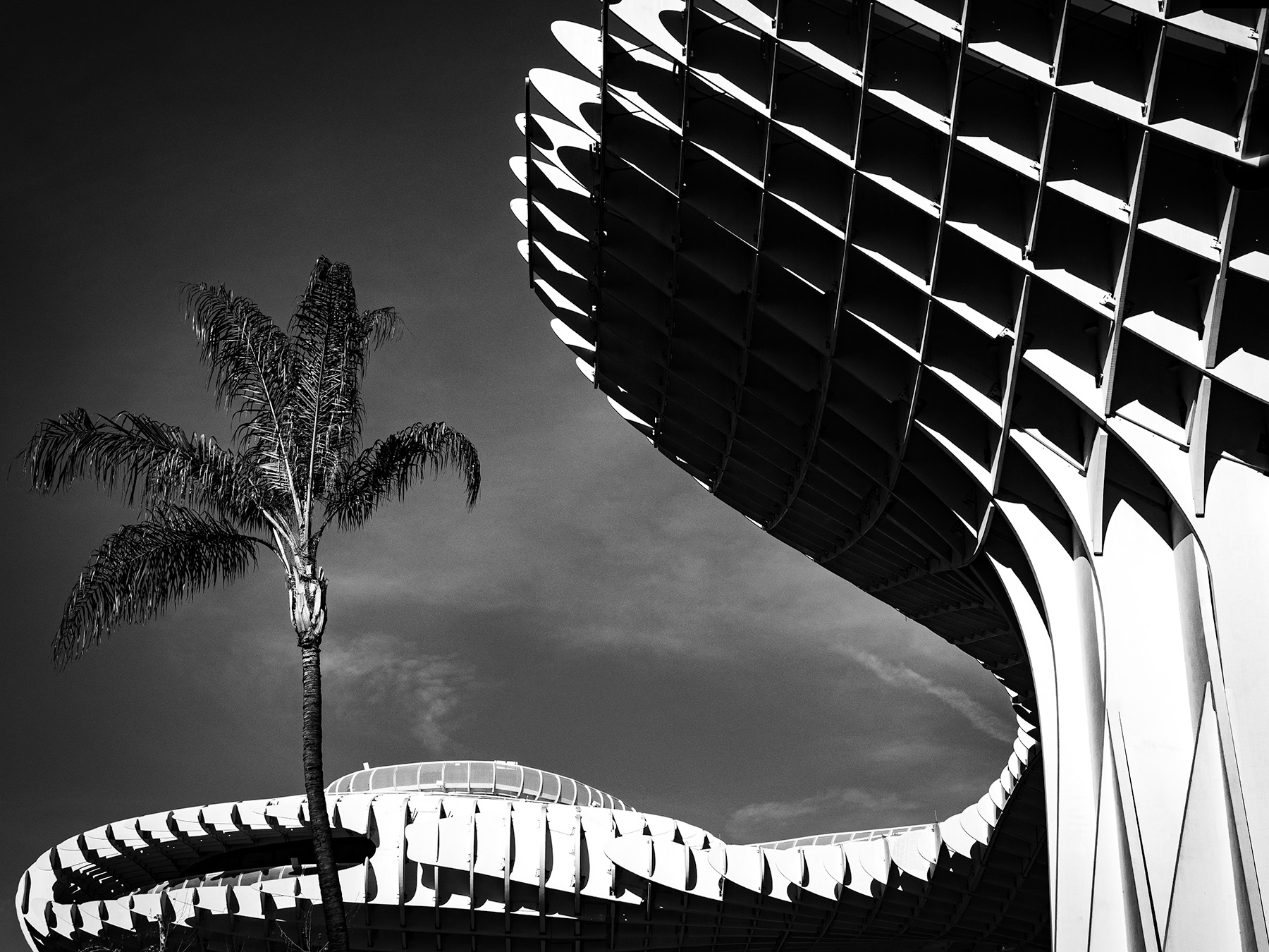 Seville: El Setas n.2