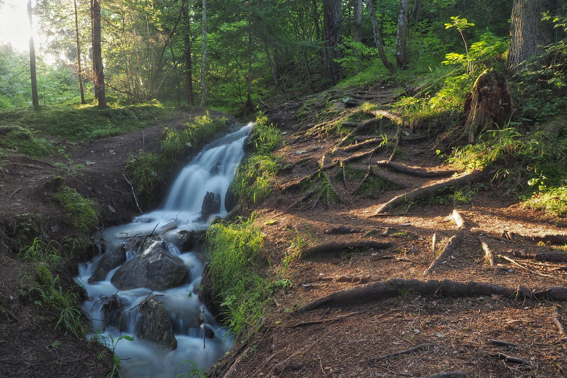 Waterfall in the forest - Flims (GR), Switzerland