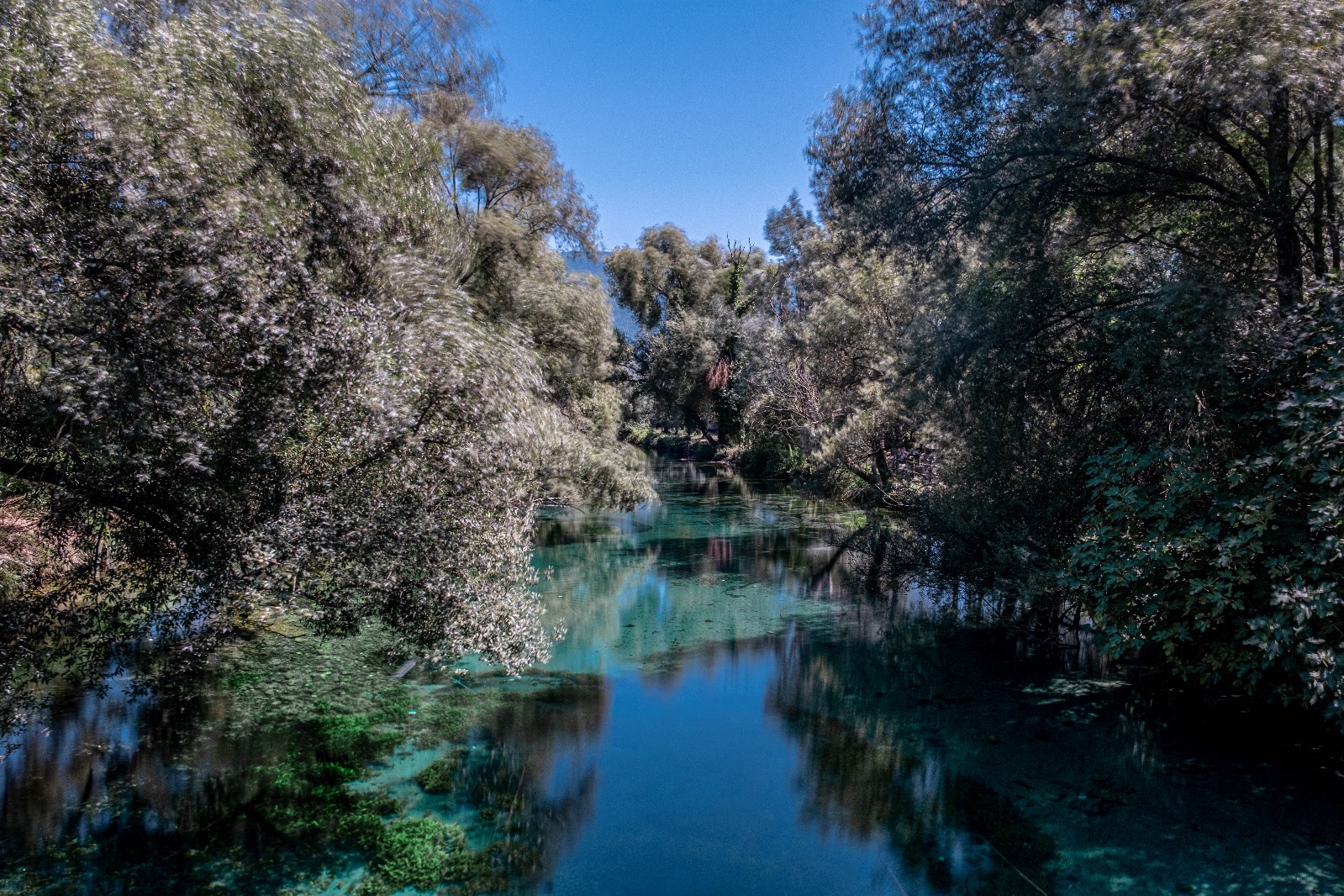 Walk to the lake 2