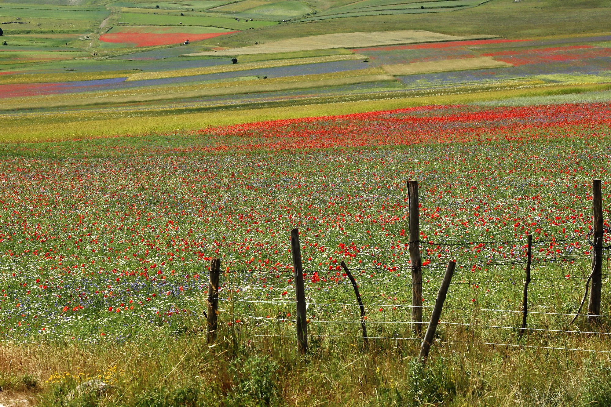 The colors of castelluccio