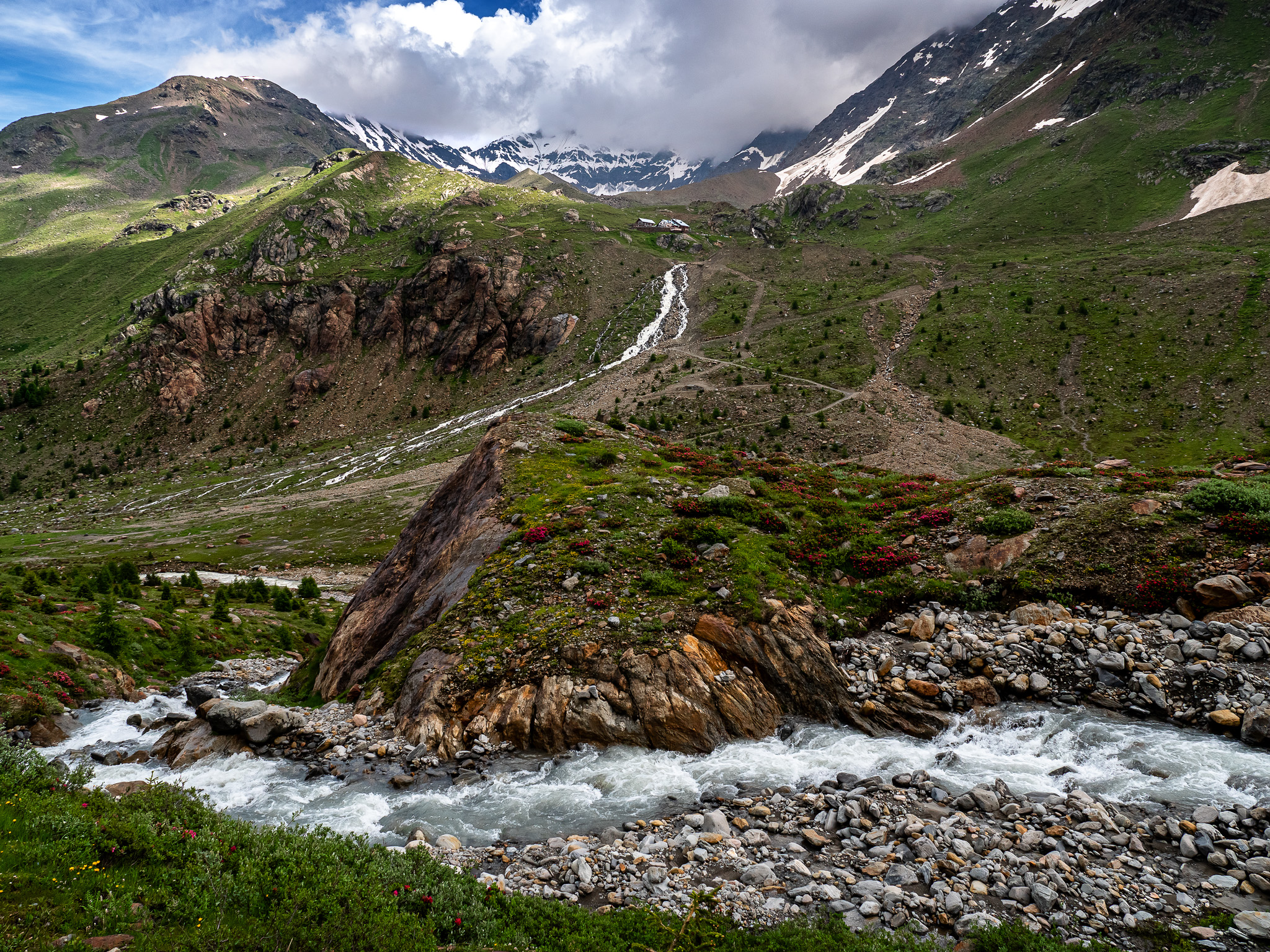 Il giardino dei Forni - Parco Nazionale dello Stelvio
