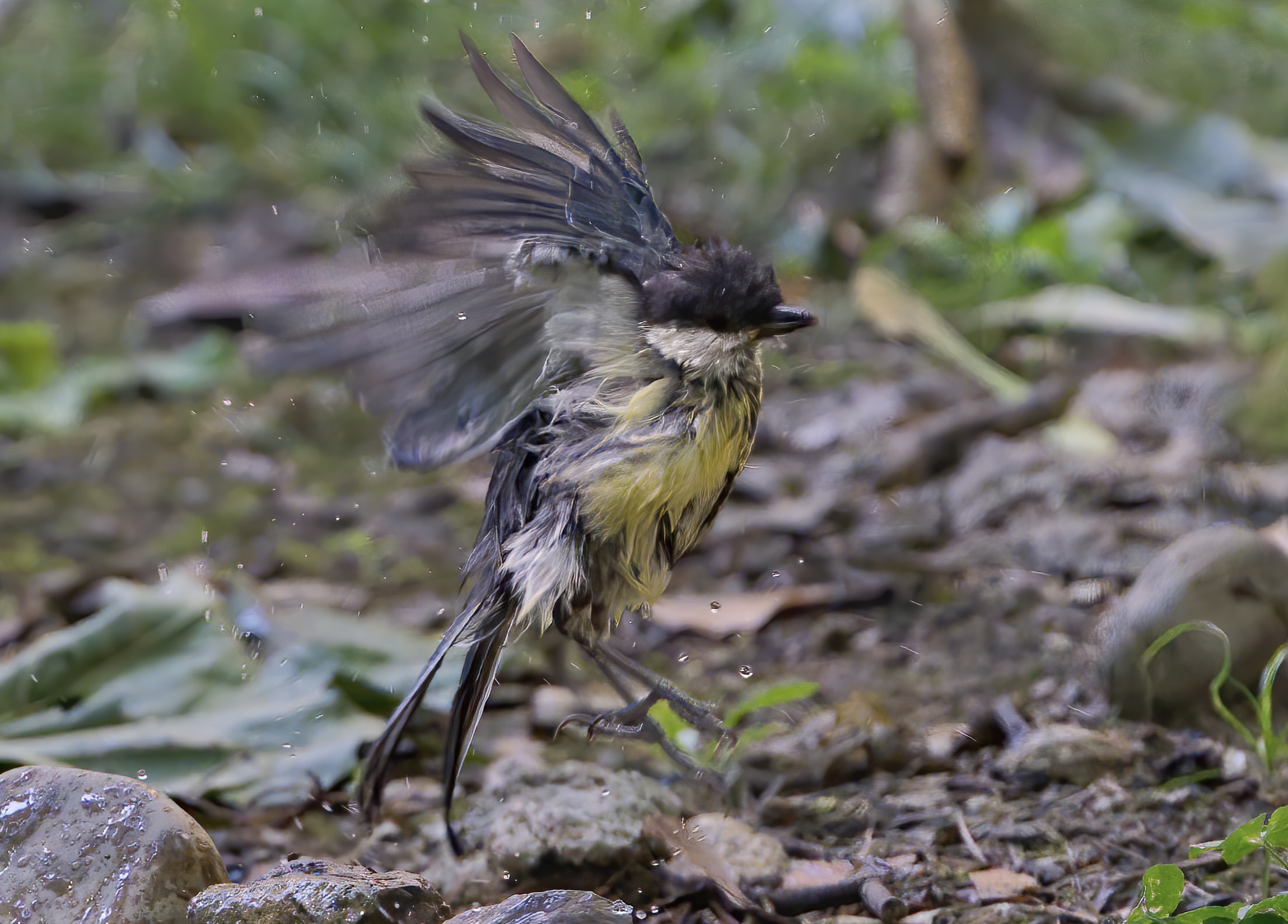 Lo stacco dopo il bagnetto