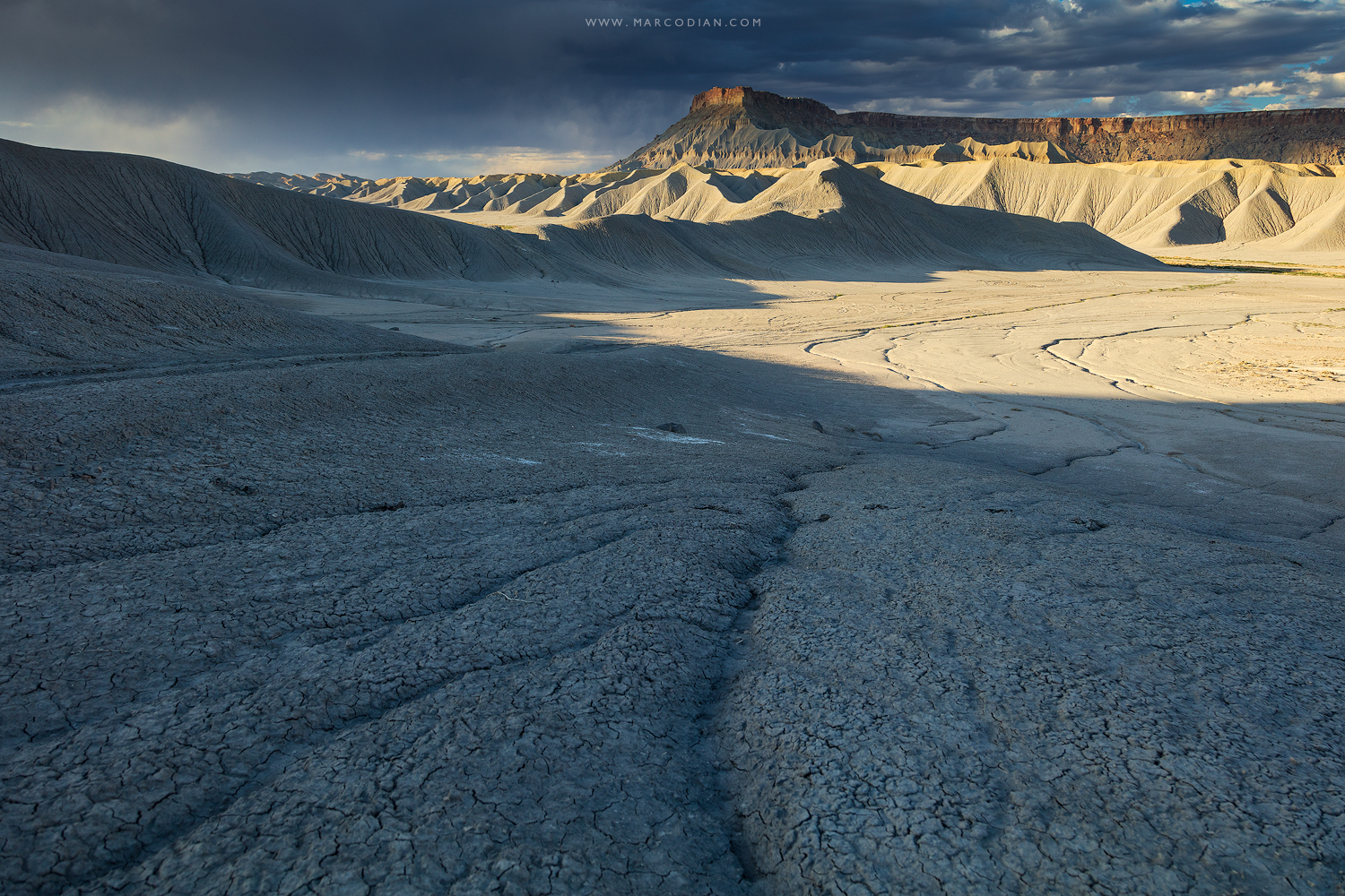 Magnifica Desolazione