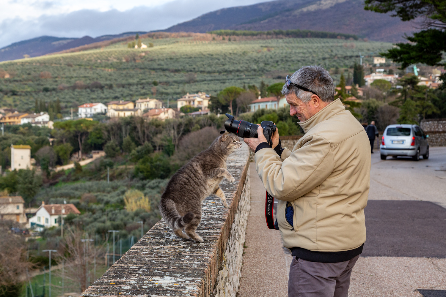 Dad and the cat