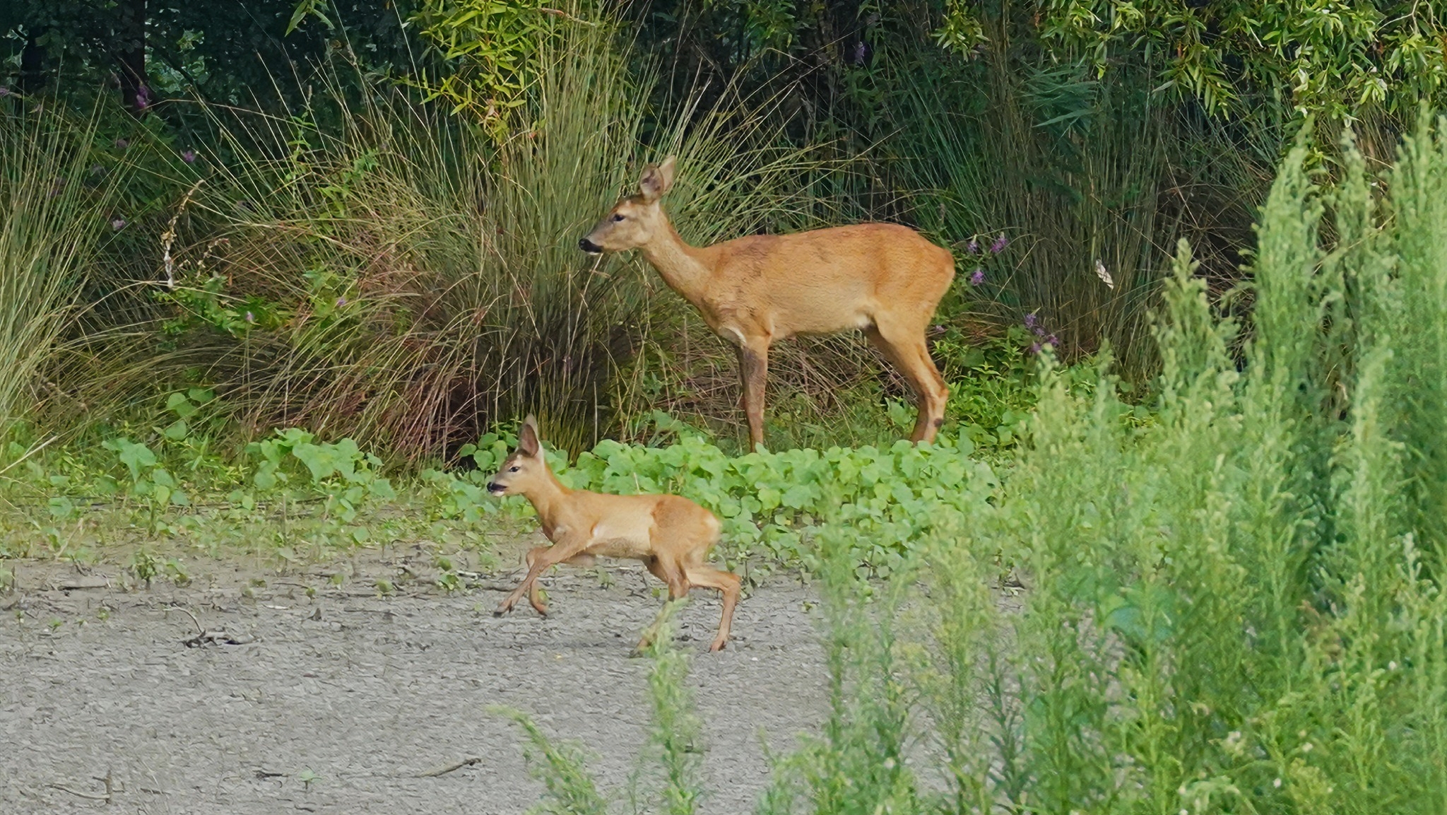 Little baby with mom