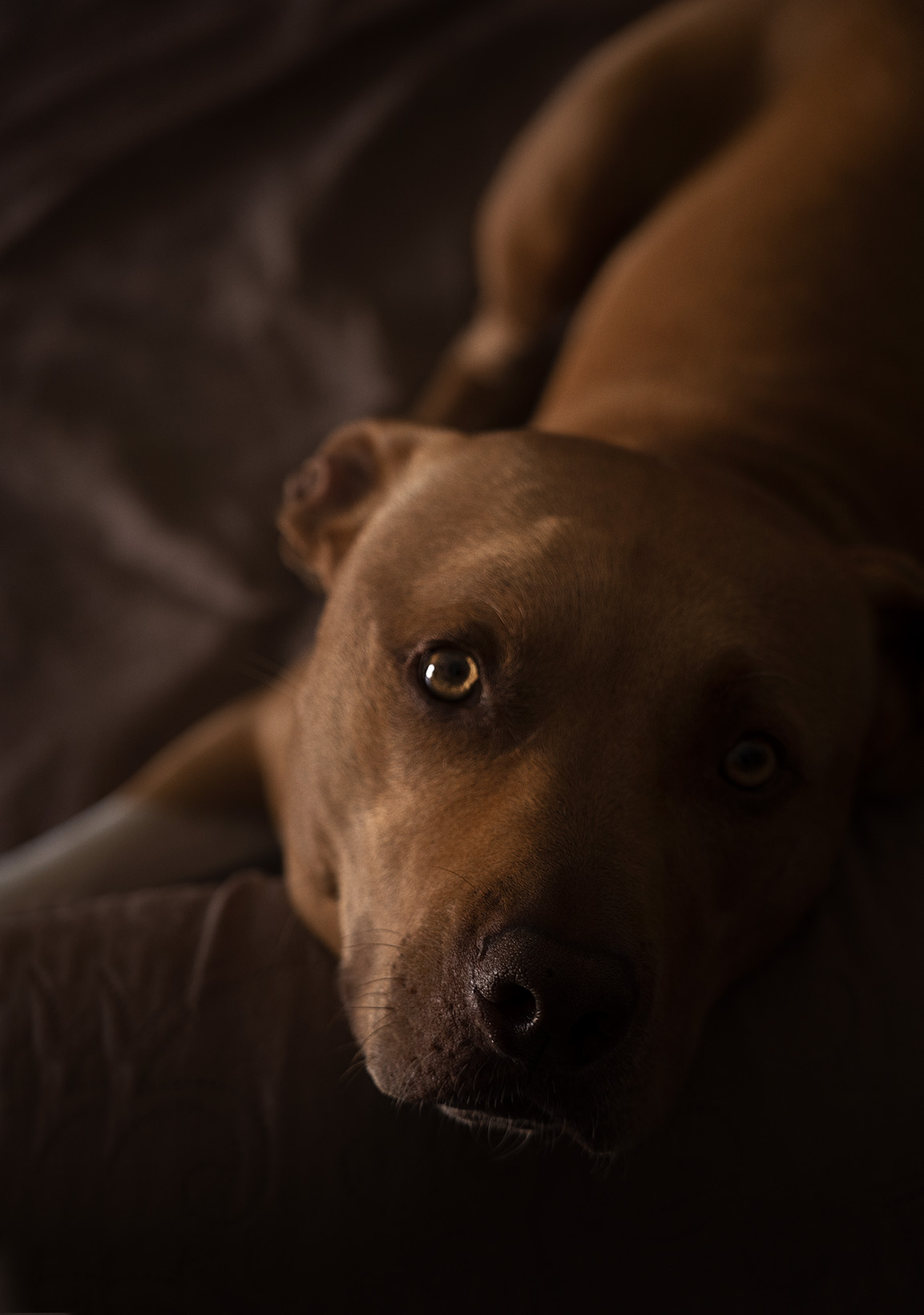 Ares