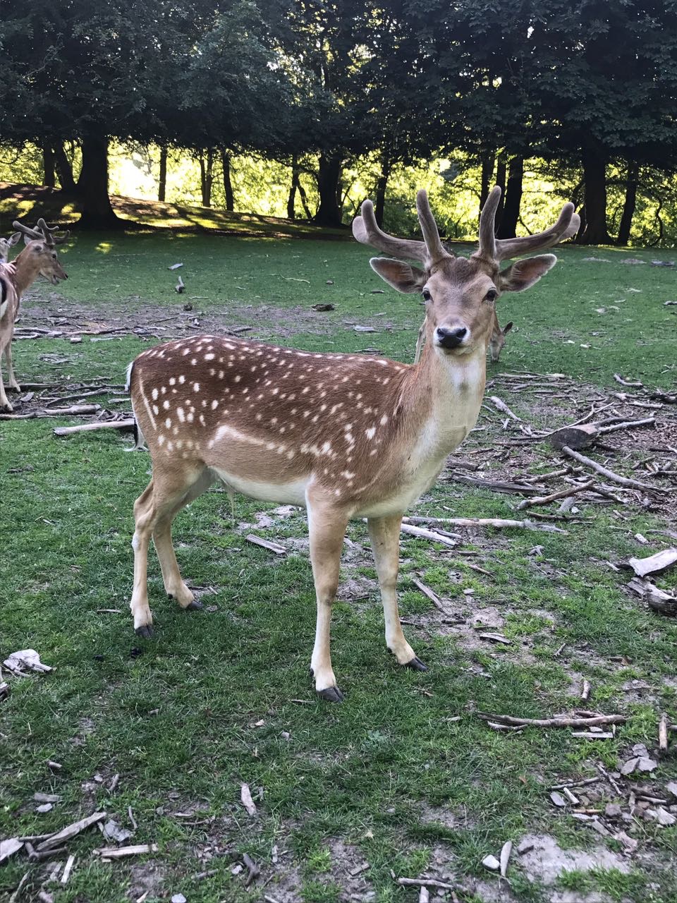 Meetings in the park