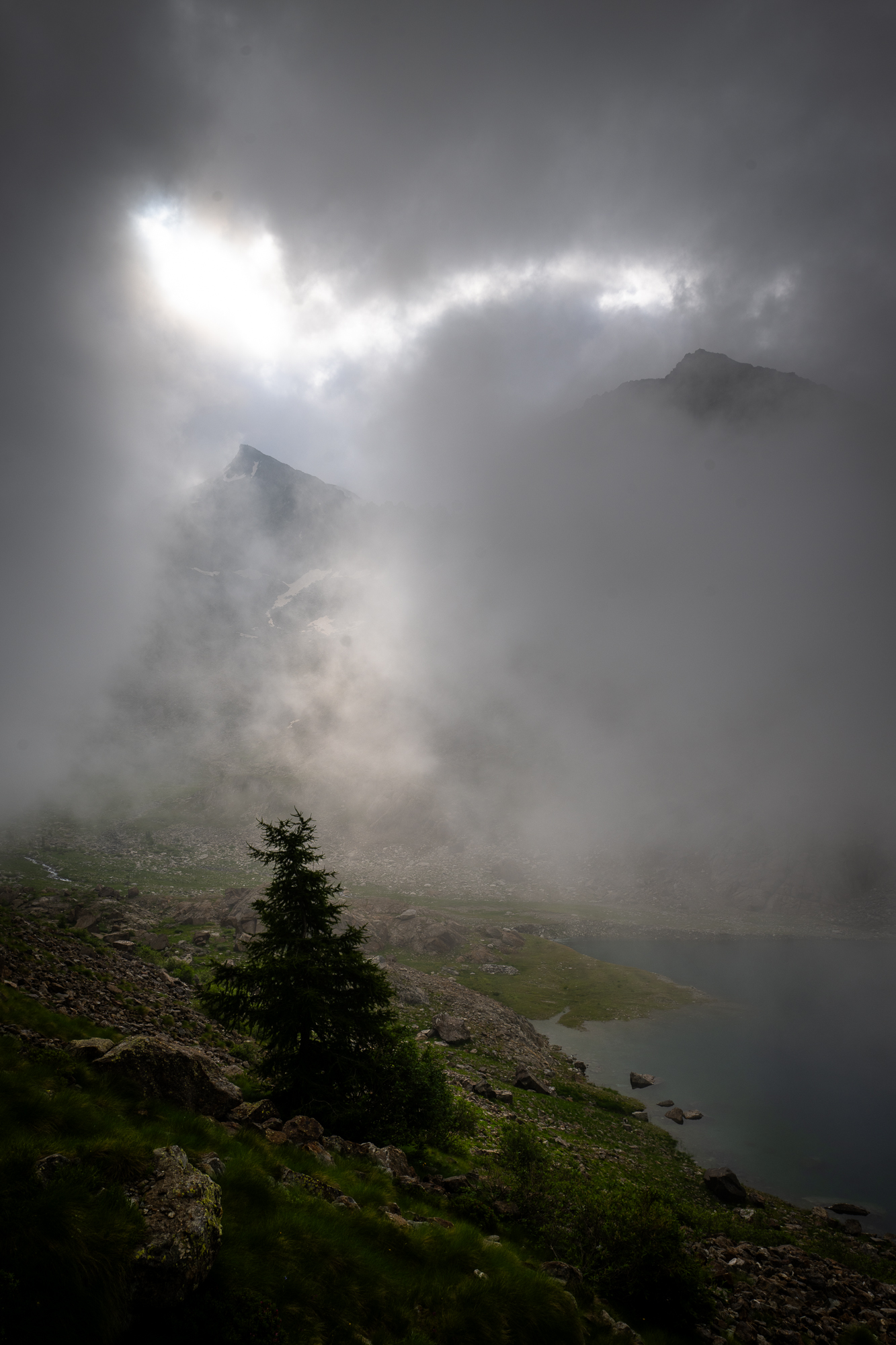 Visioni nella nebbia