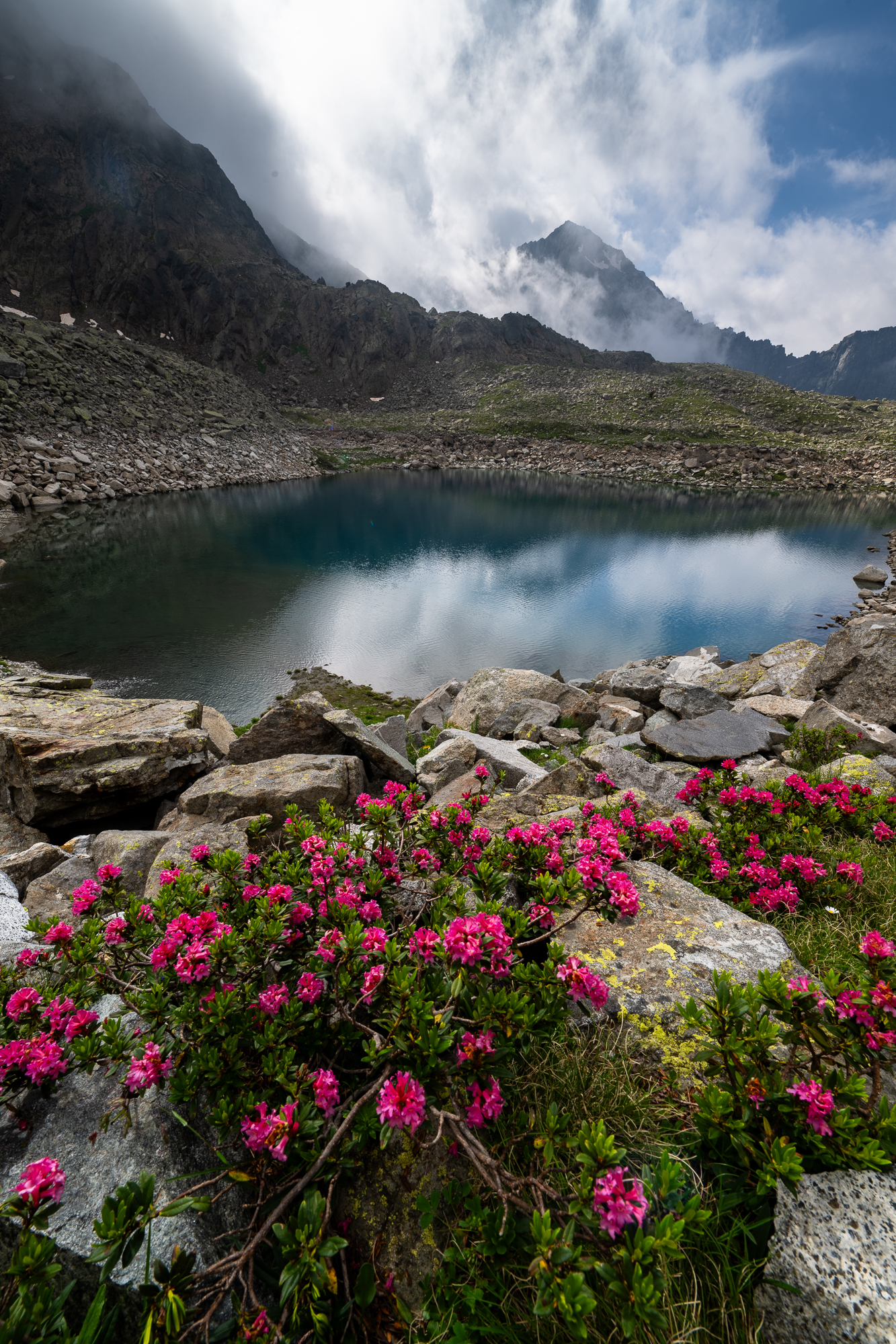 Rododendri al Baitone