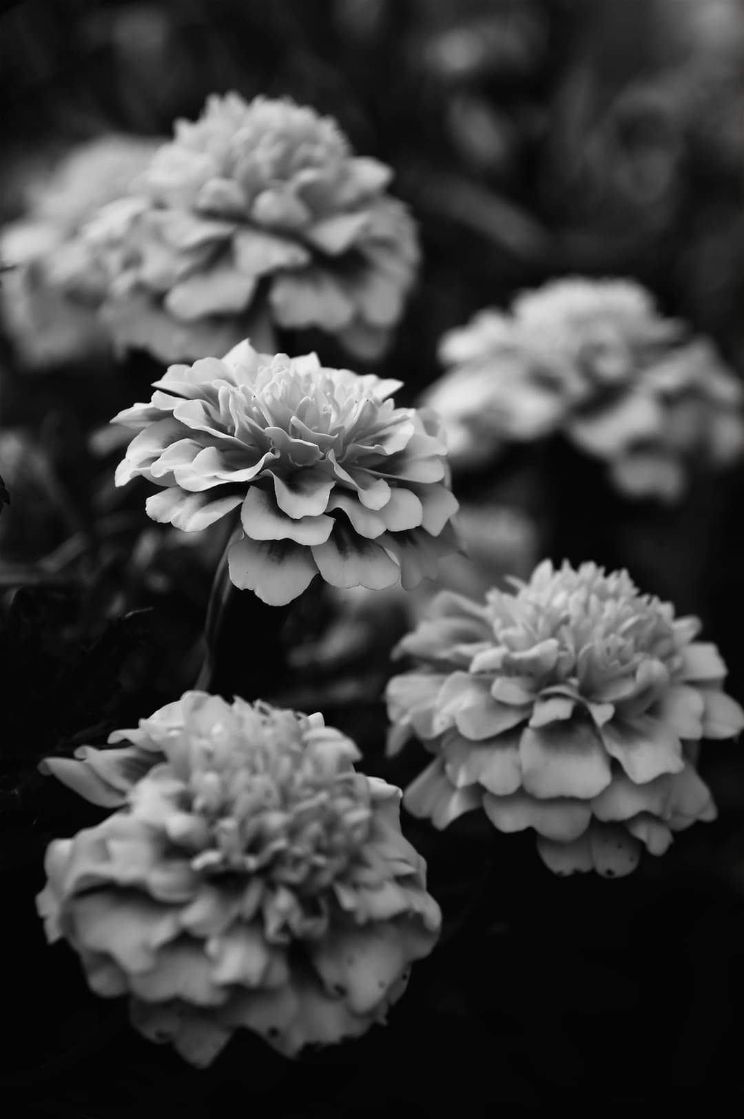 B&W