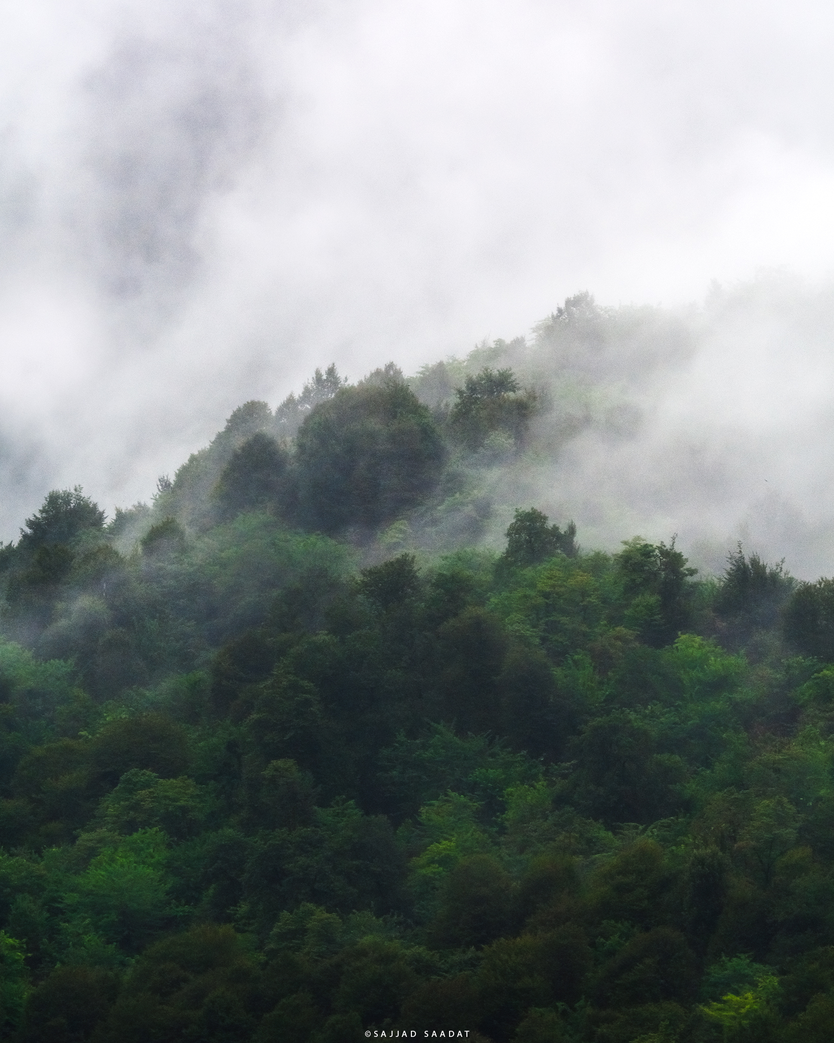 Fog