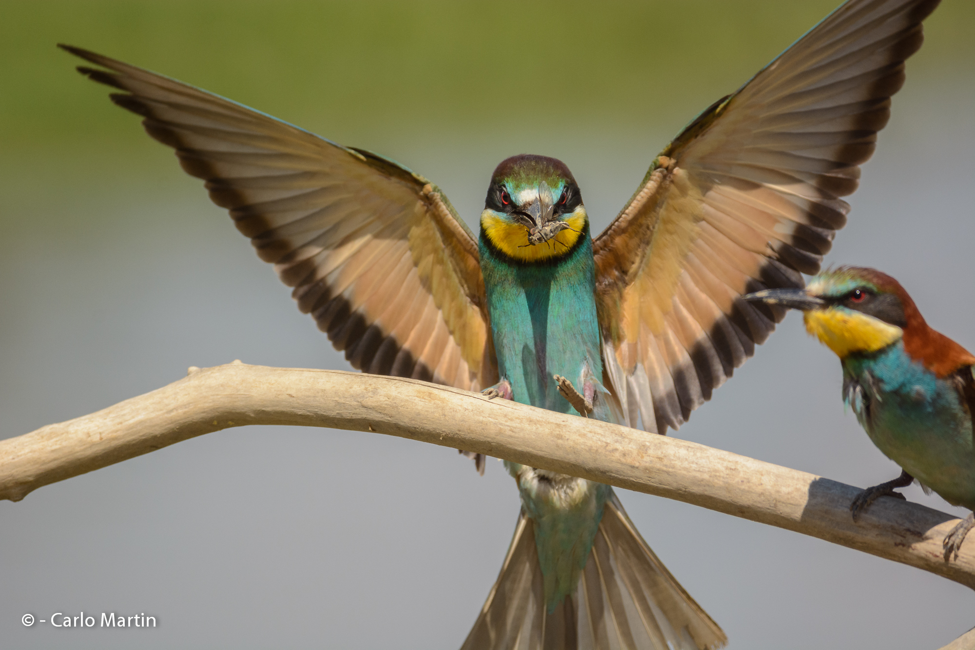 Gift incoming (PP magazine)