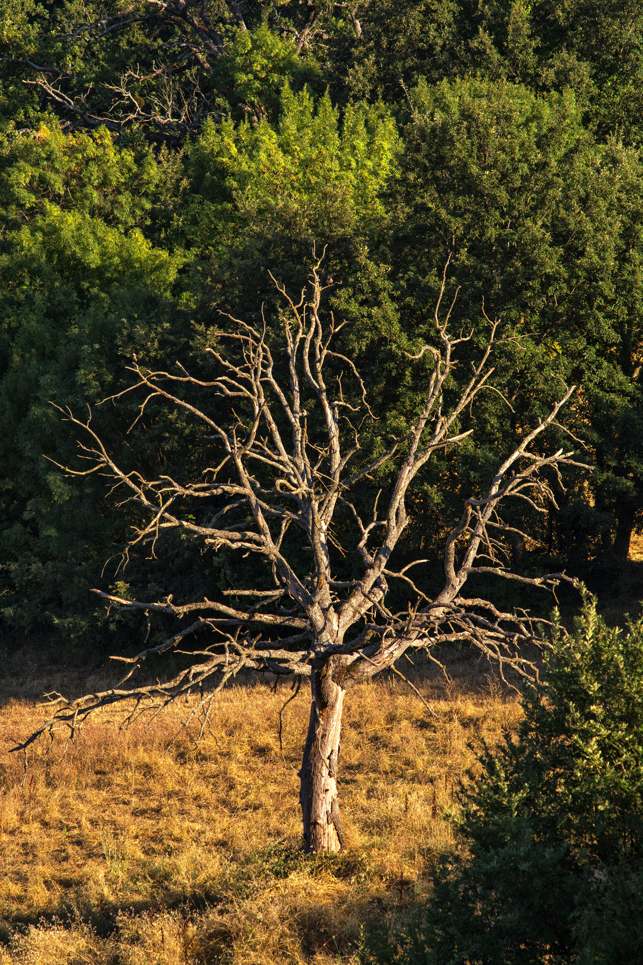 Untitled Photo