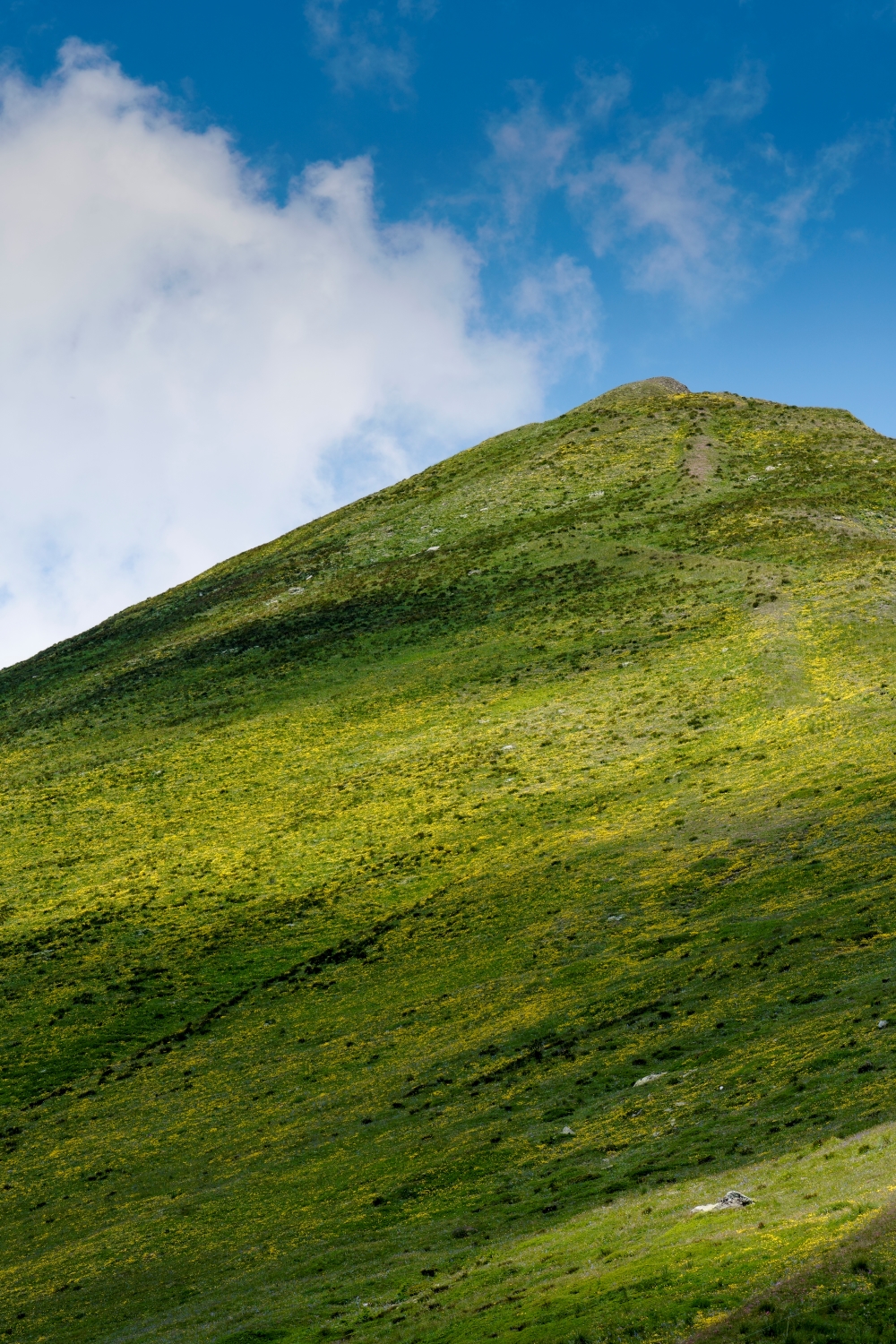 Mi ricordo montagne verdi...