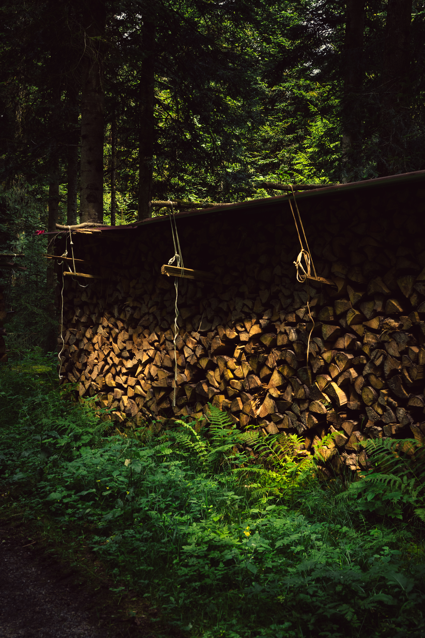 Preparing for winter