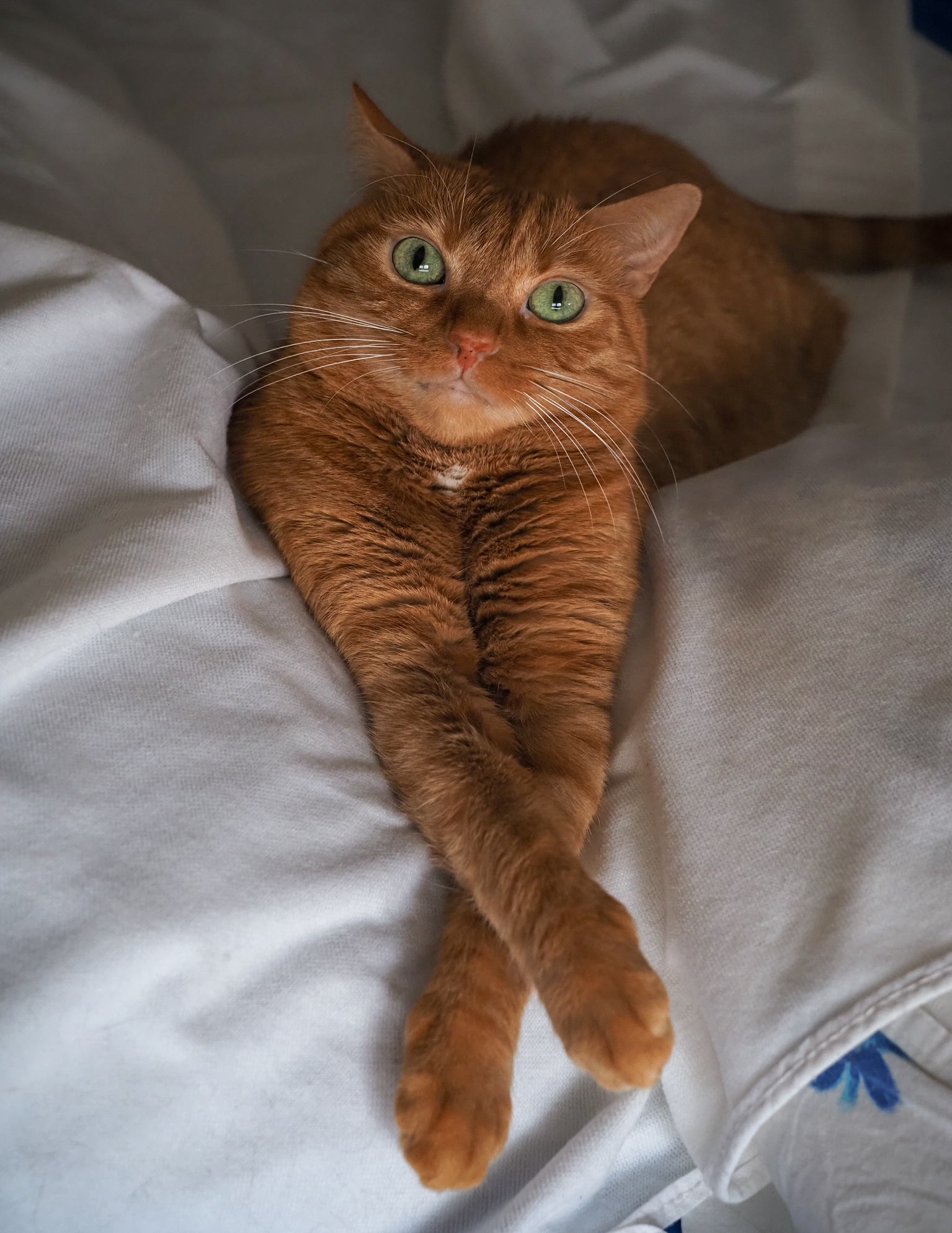 When you are born a model...