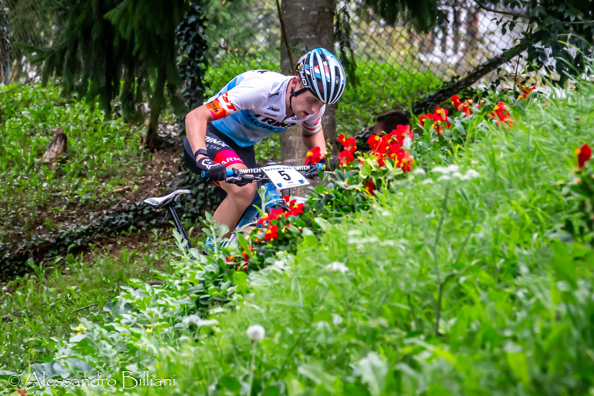 Climbing among the Mountain Flowers