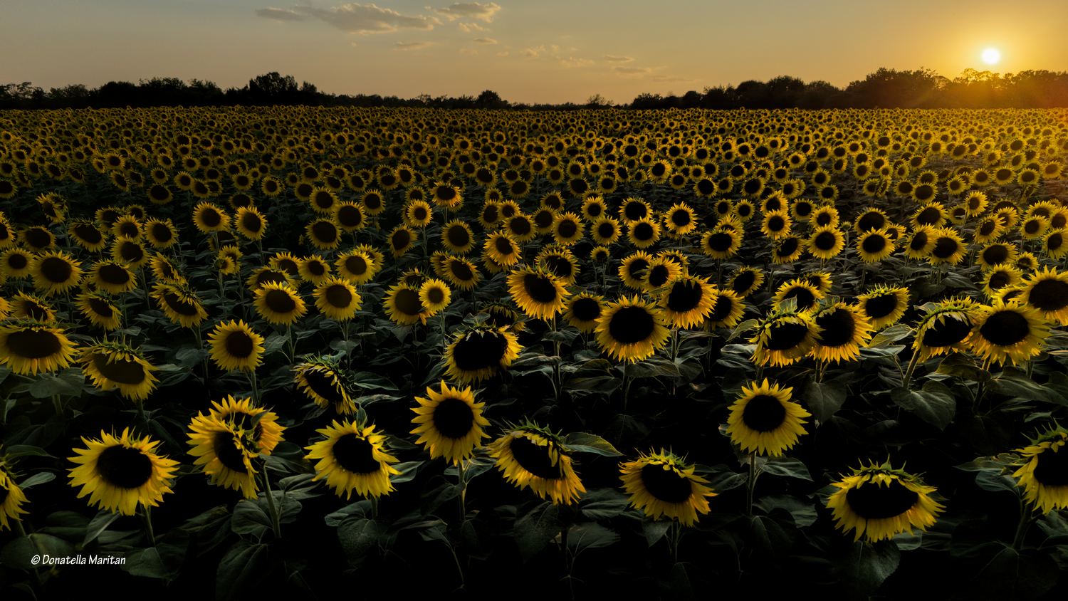 Sunset*