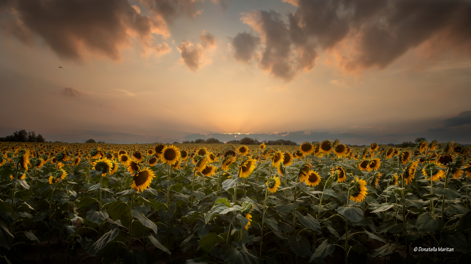 Quando il sole si nasconde