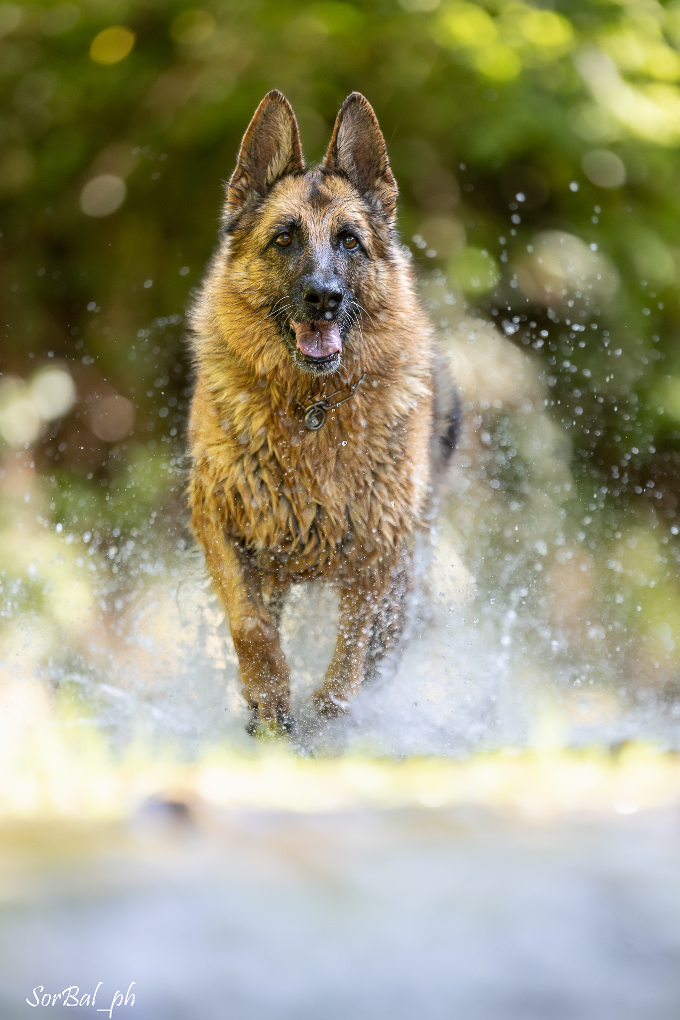 divertimento in acqua