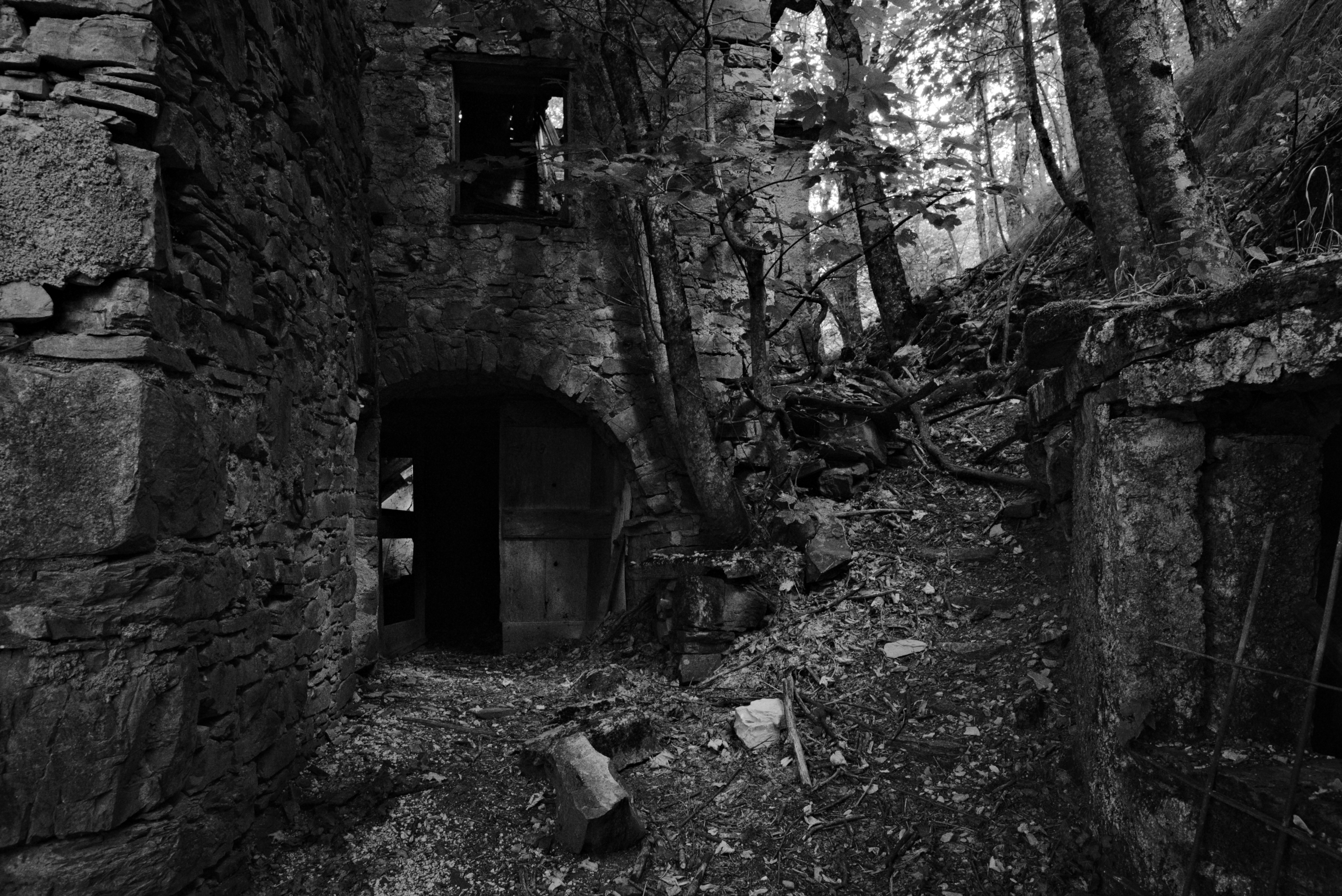 Casoni di Vegni - paese abbandonato immerso nel bosco