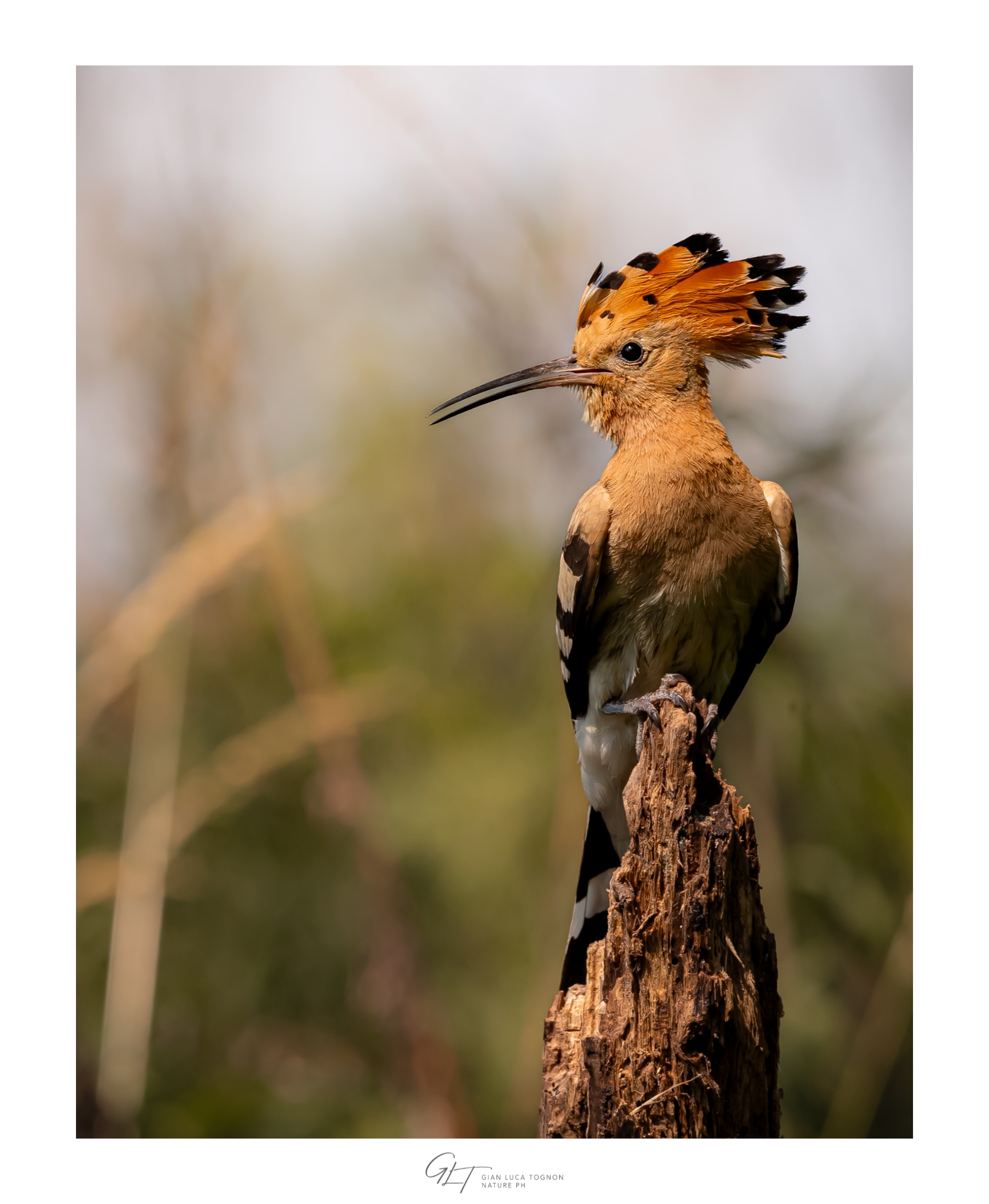 È la luce dei tuoi occhi ...