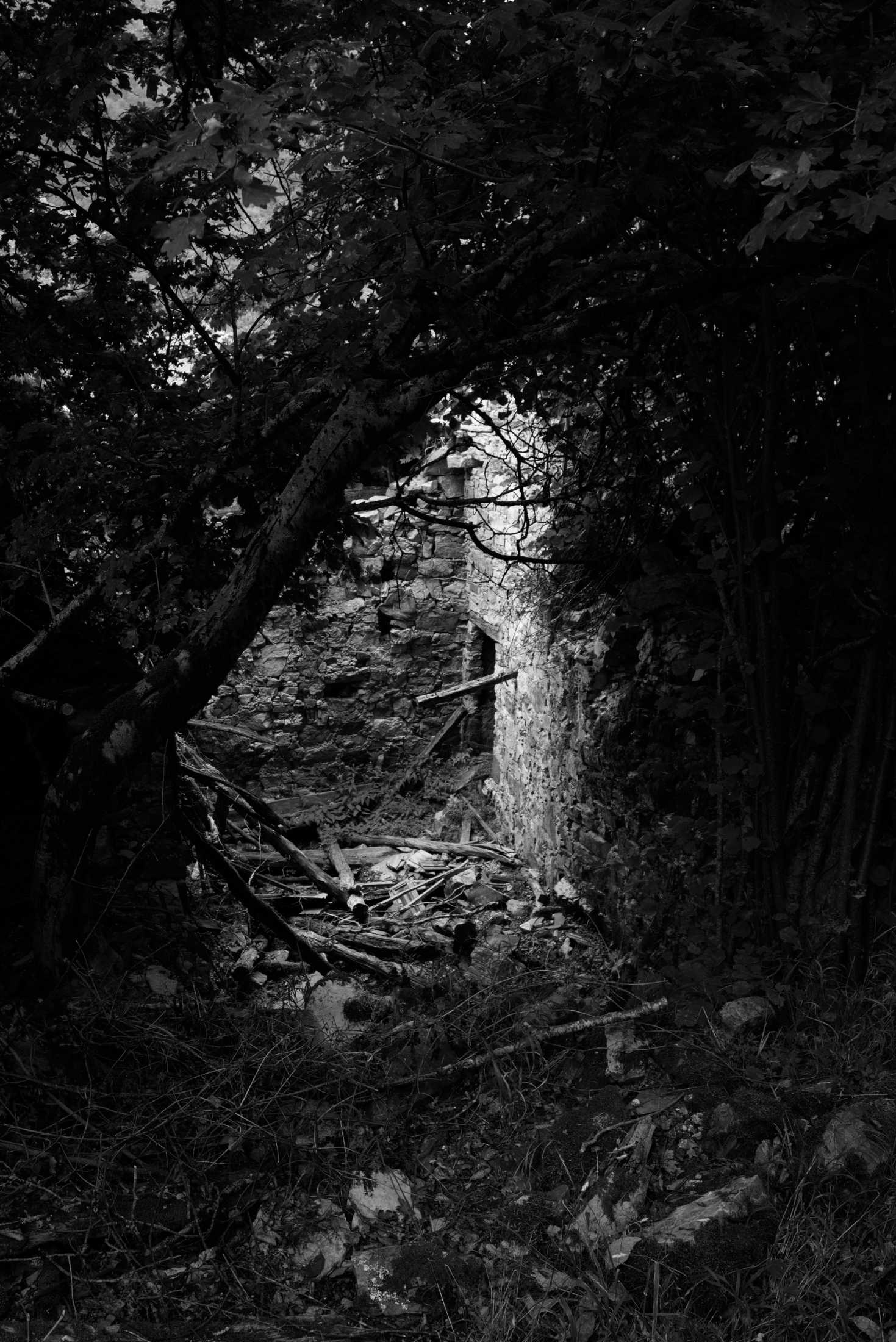 Reneuzzi - paese abbandonato immerso nel bosco