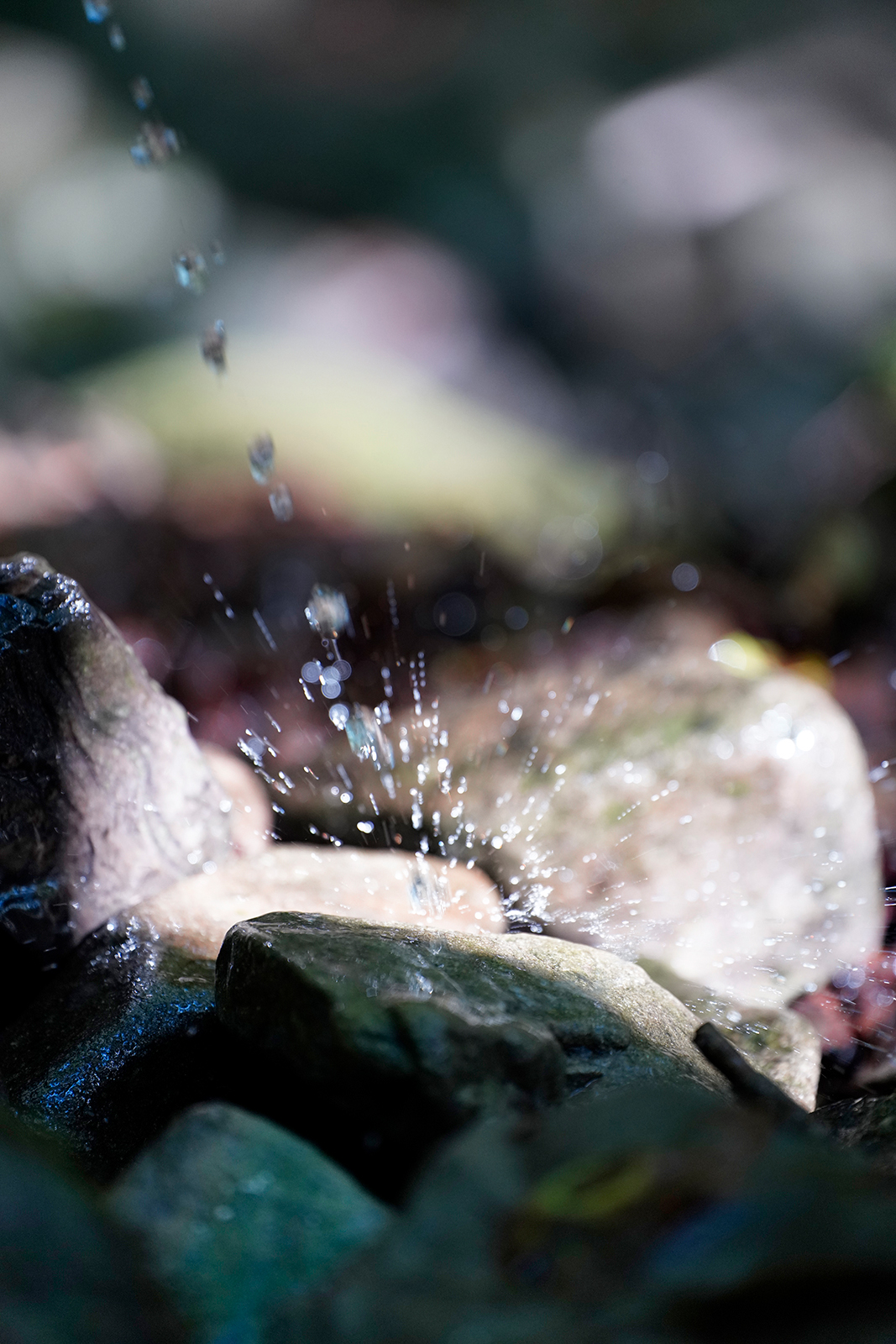 Untitled Photo