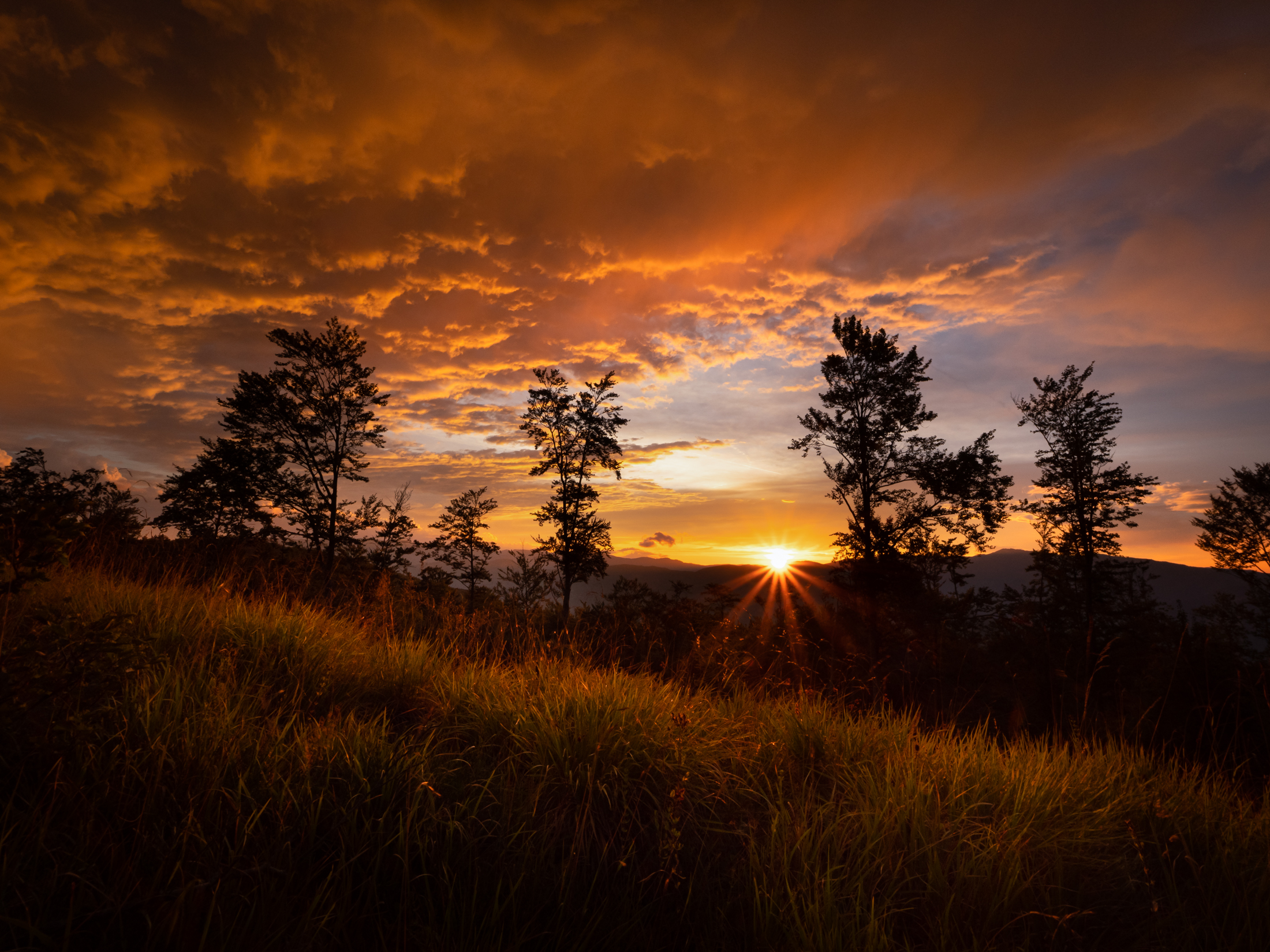 Aspettando le stelle