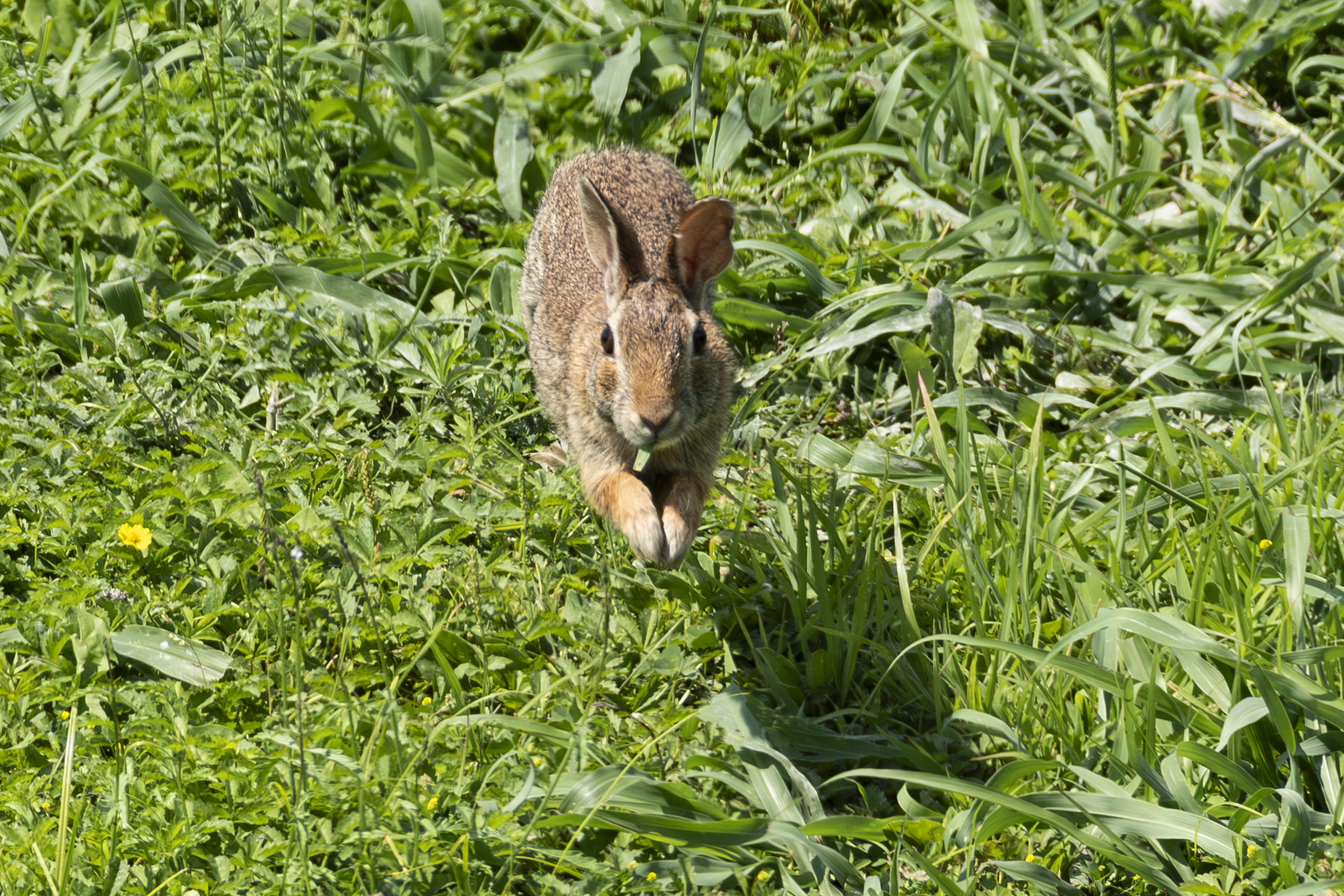 Faster than my shadow