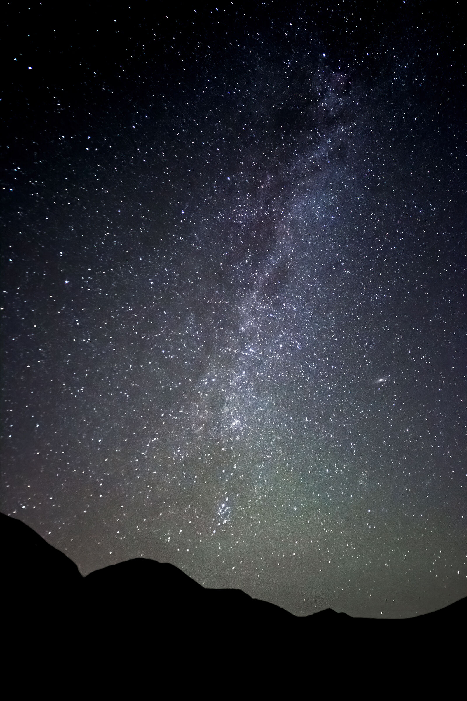 Under a sky of stars