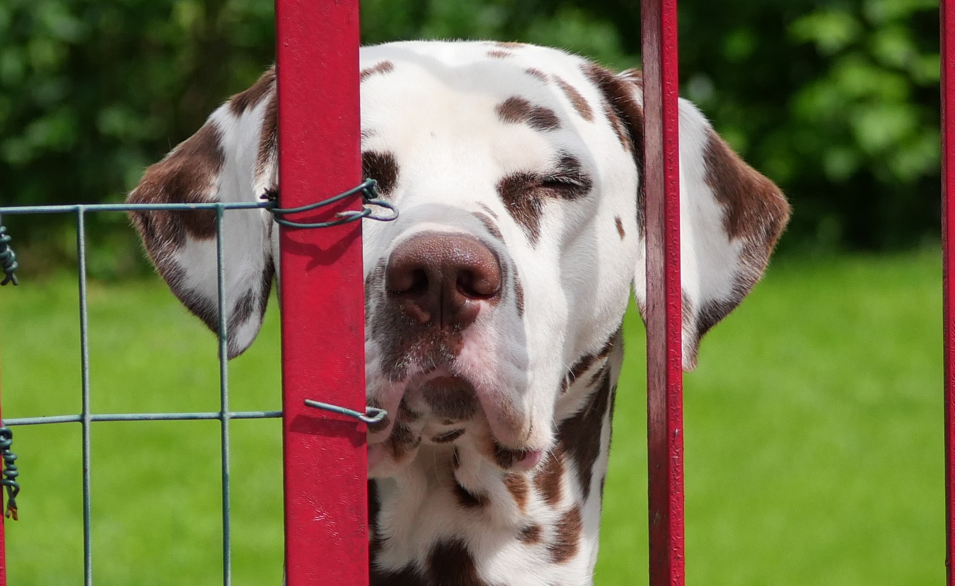 Free me from this prison