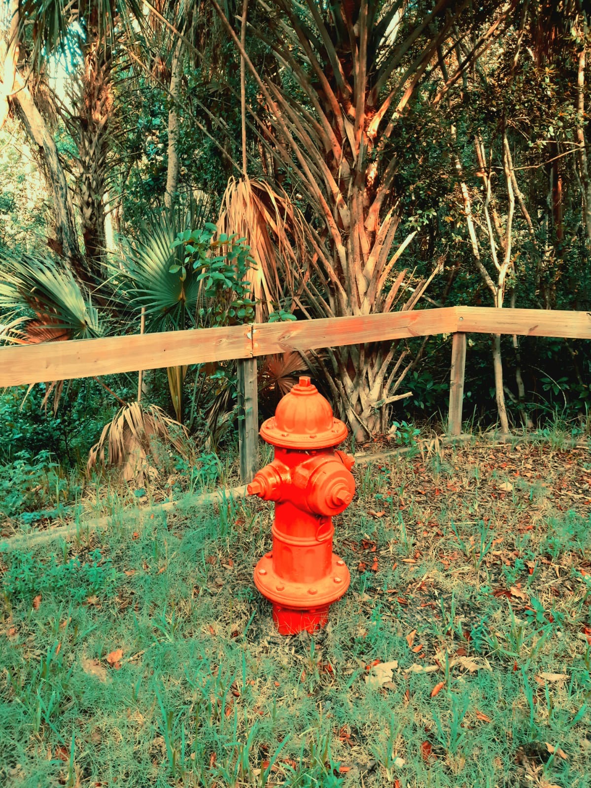 Hydrant