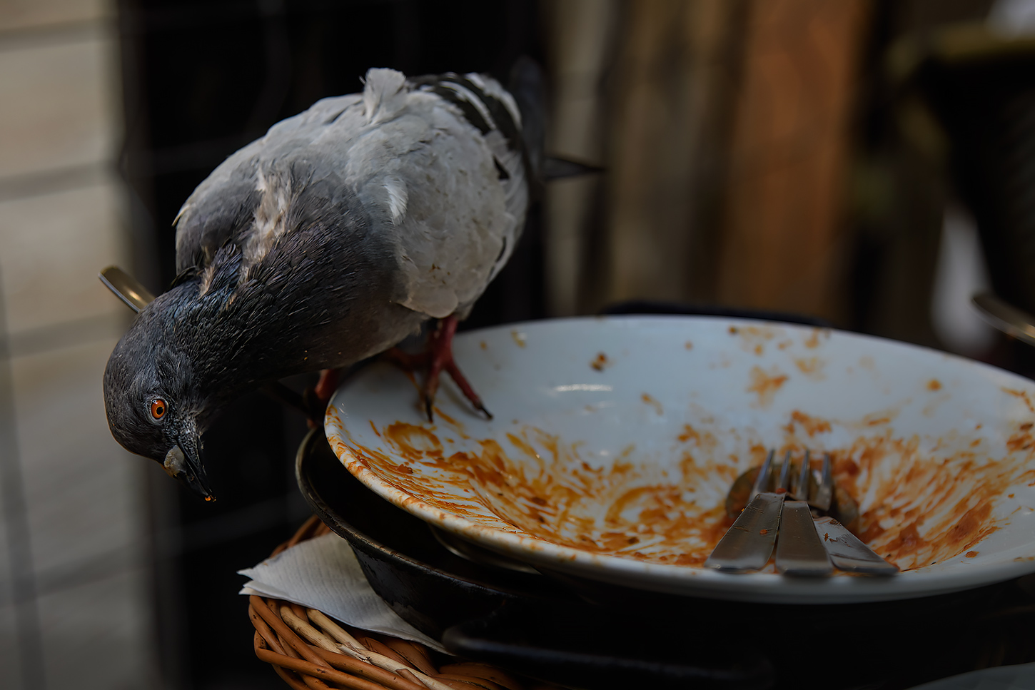 il piatto del giorno