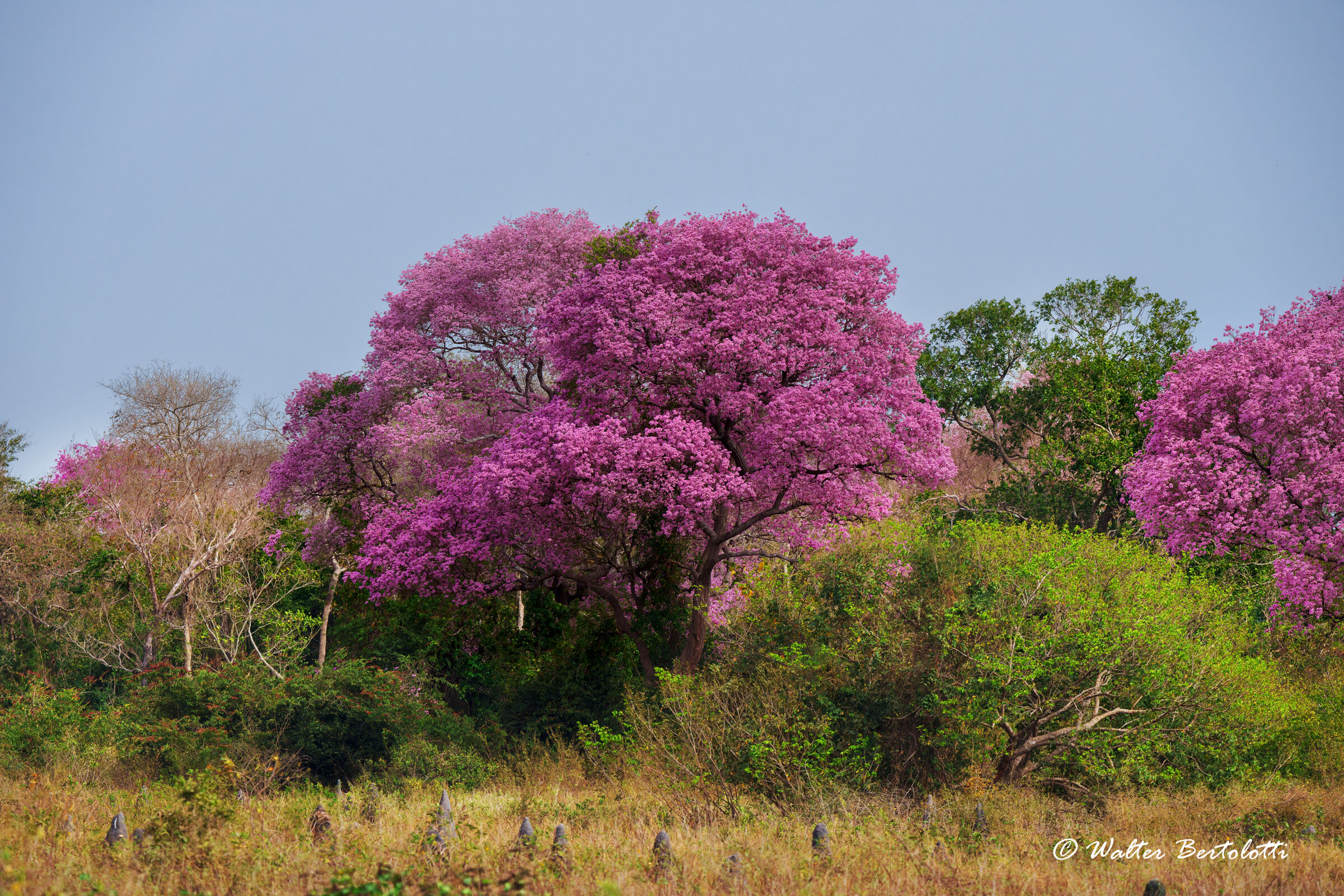 inizia la stagione dei colori