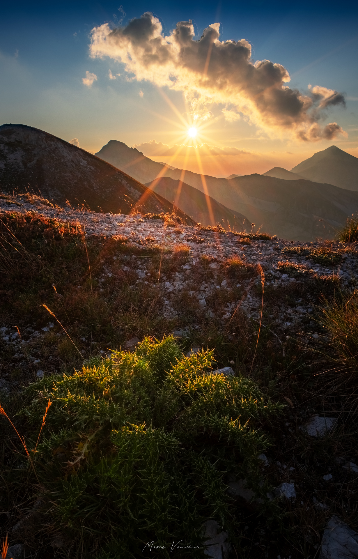 Last Sun