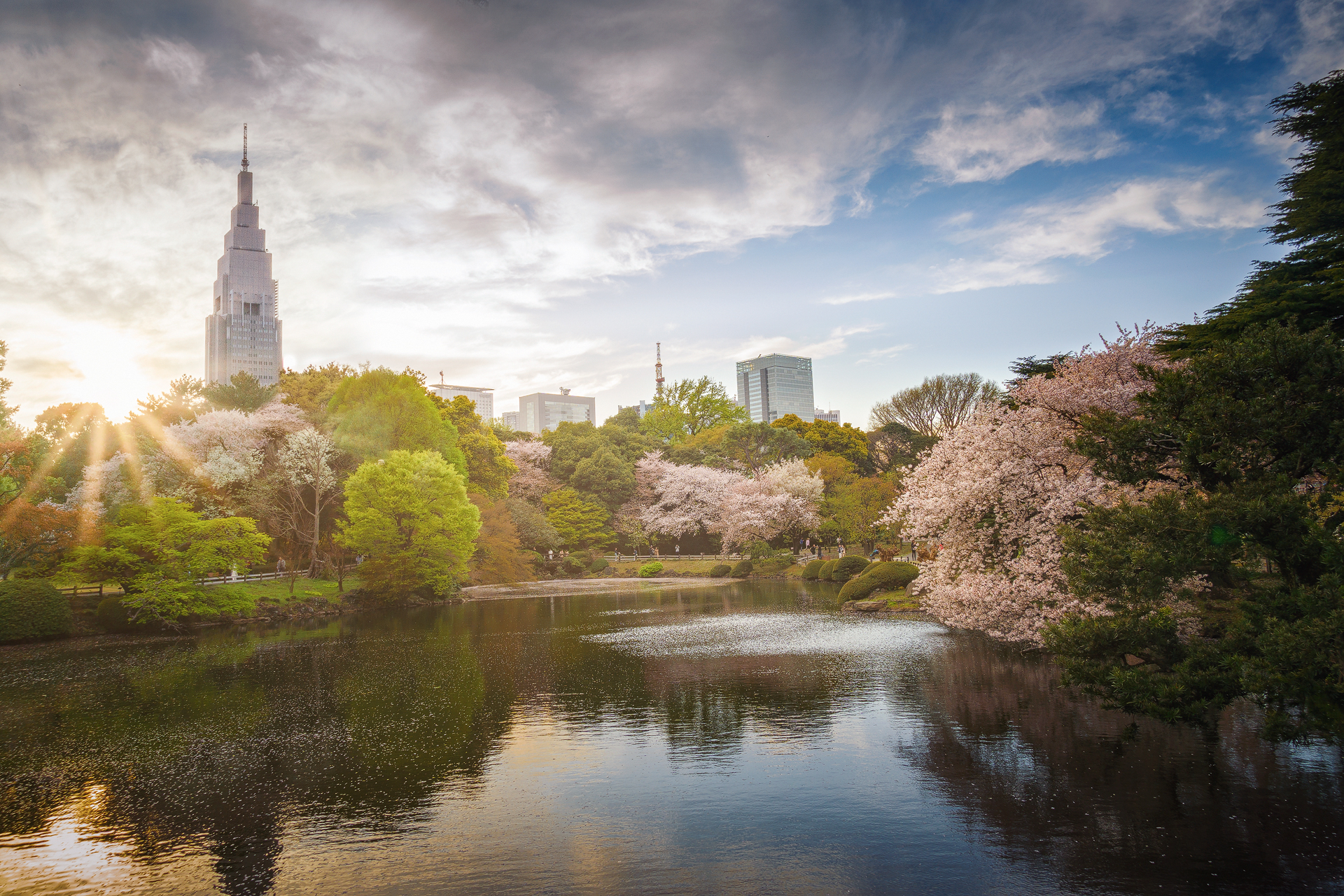 Shinjuku Park