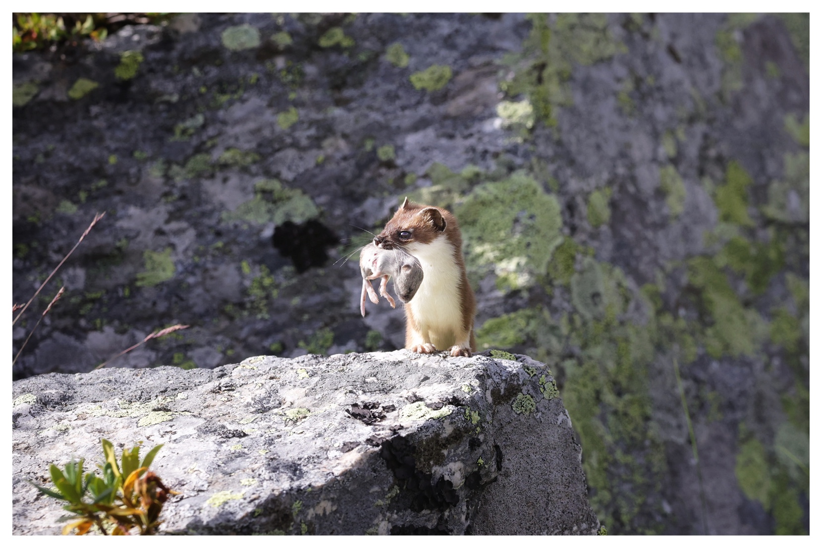 In harmony with nature