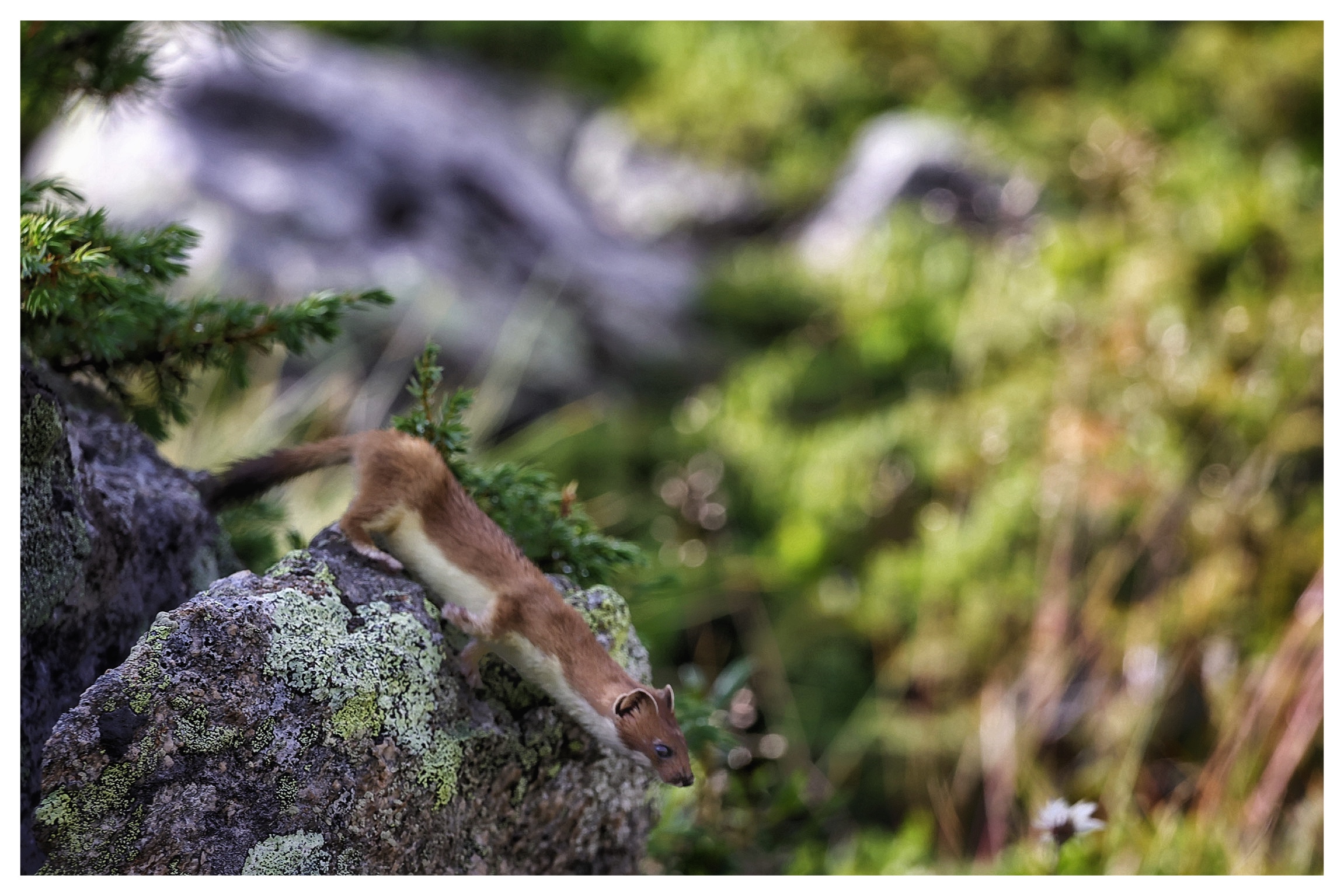 In armonia con la natura