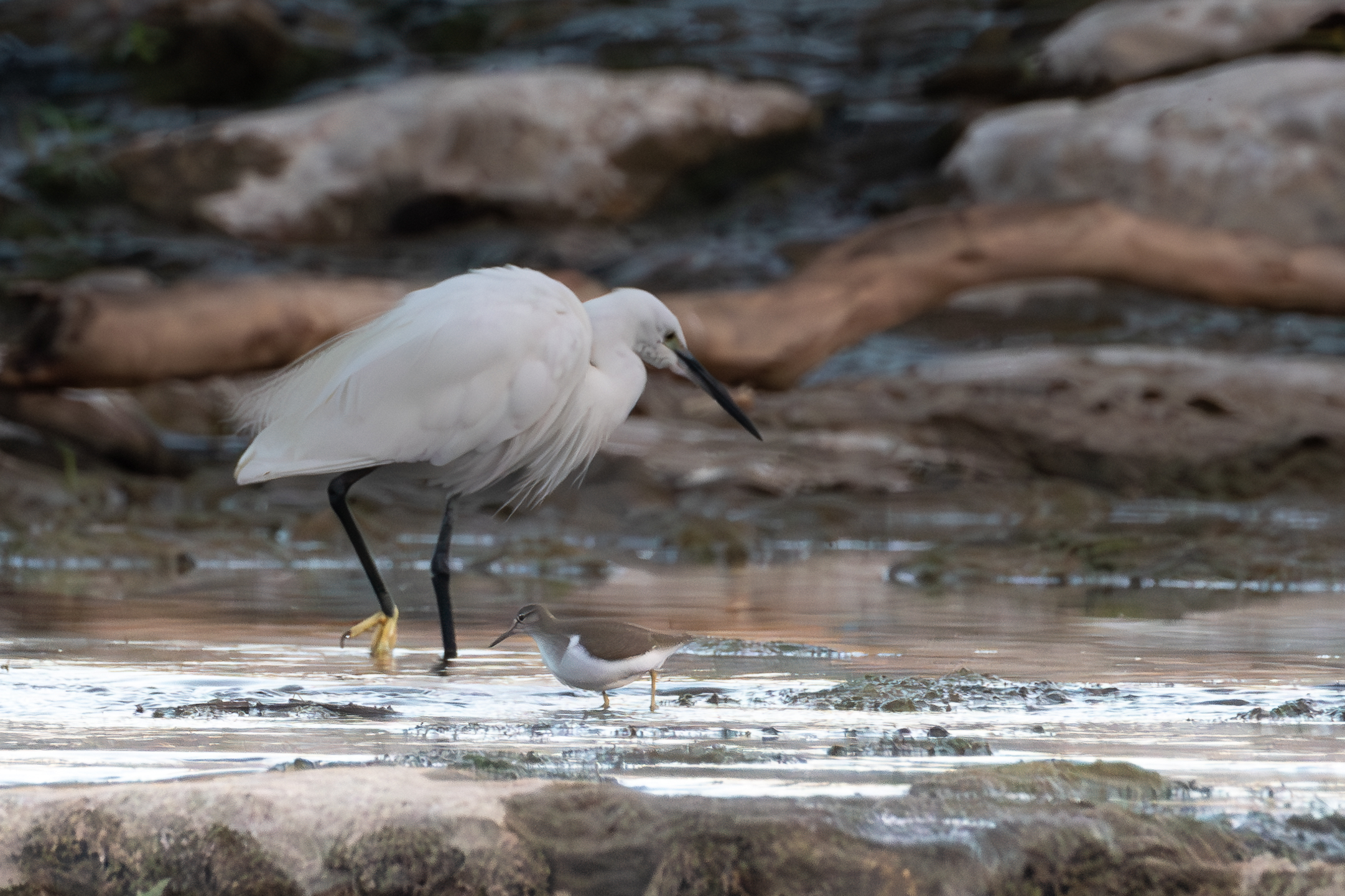 A pesca in compagnia