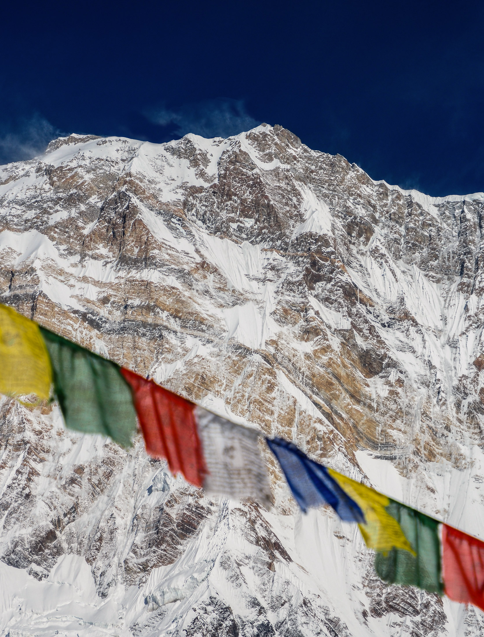 Annapurna flags
