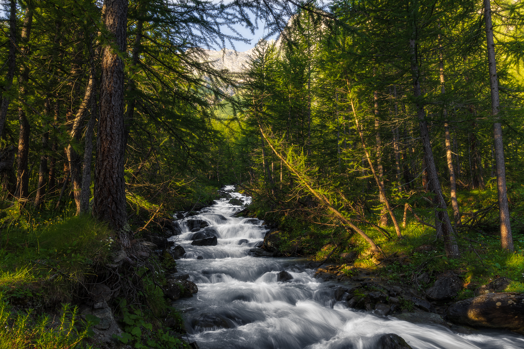 Summer at Pian della Mussa