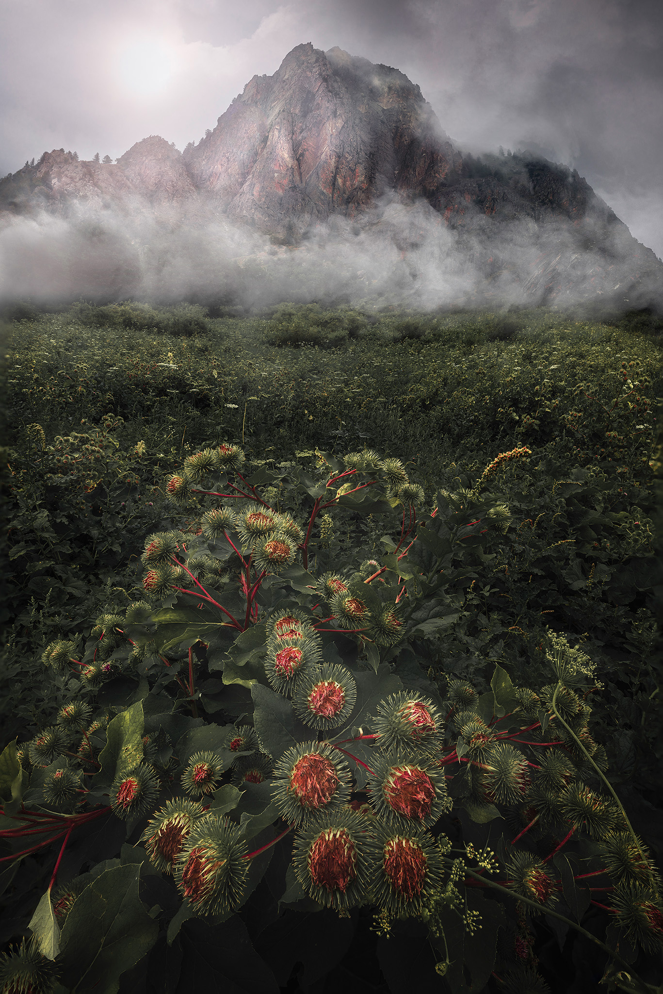 Nebbia sui Tumulilande